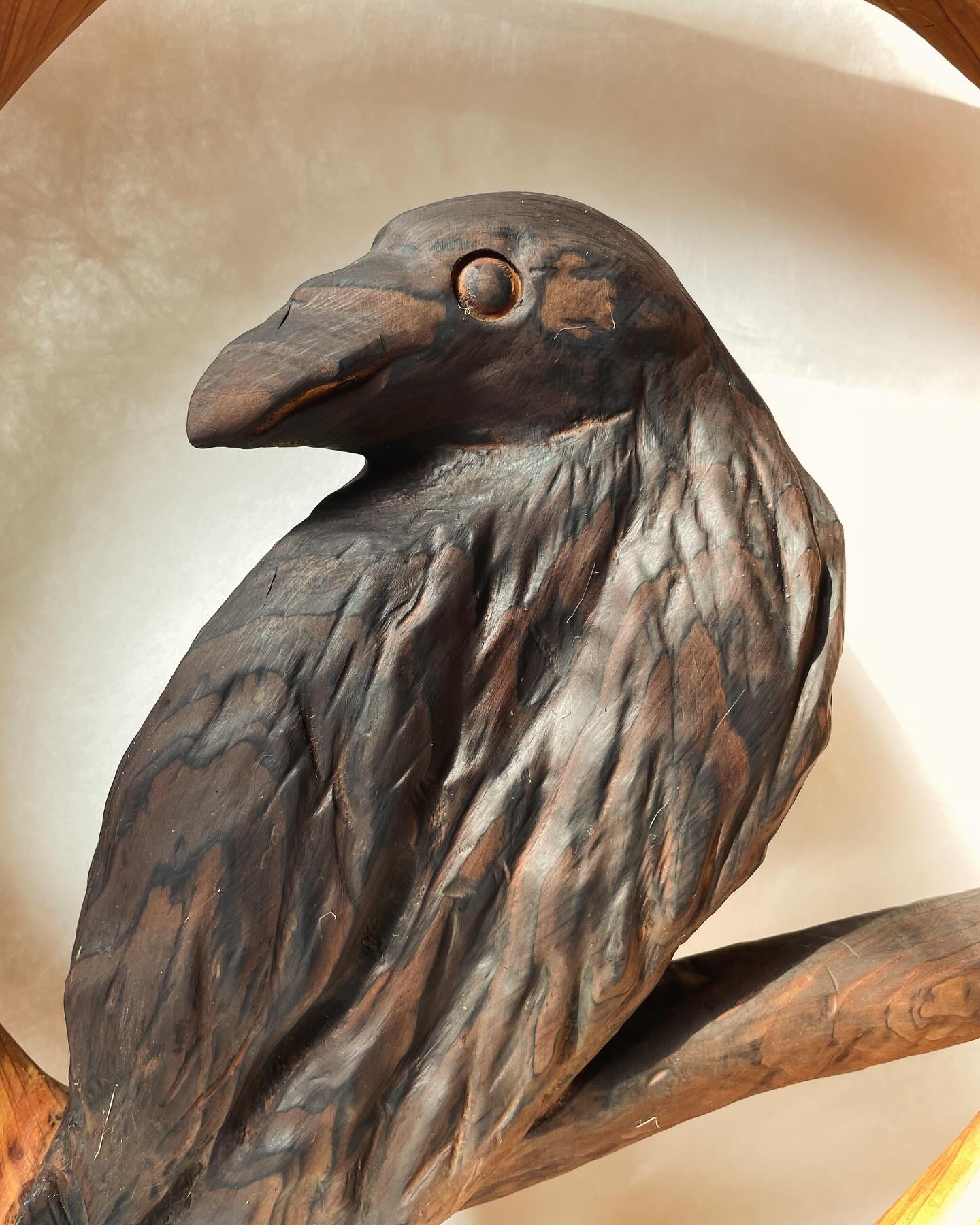 Pretty bird enjoying the sunshine in the shop. This happy raptor is one of a series of new carvings by Jesse Toso. It can stand alone or be wall mounted. Dimensions: 18” tall, 17.5” 3” deep. Price: $325
@jessetoso @tosowoodgallery