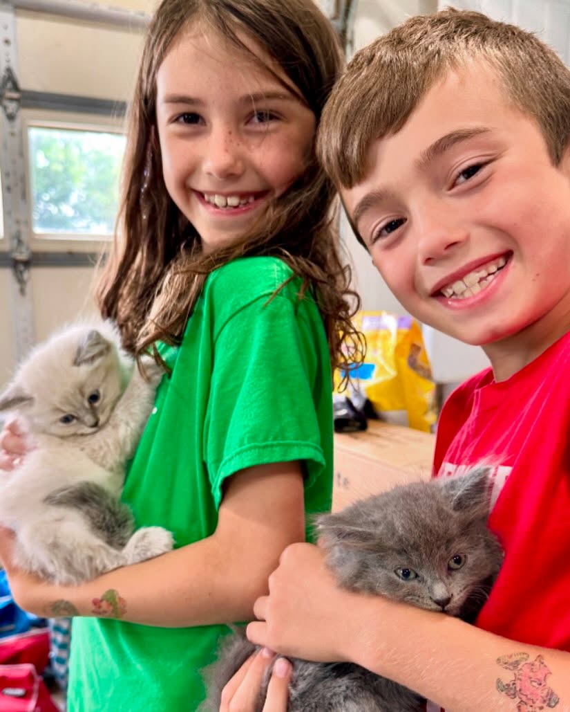It’s not an official farm until you have #barncats 🐈🐈⬛
Welcome to County Corner, Sugar and Pepper (names are a work in progress…)