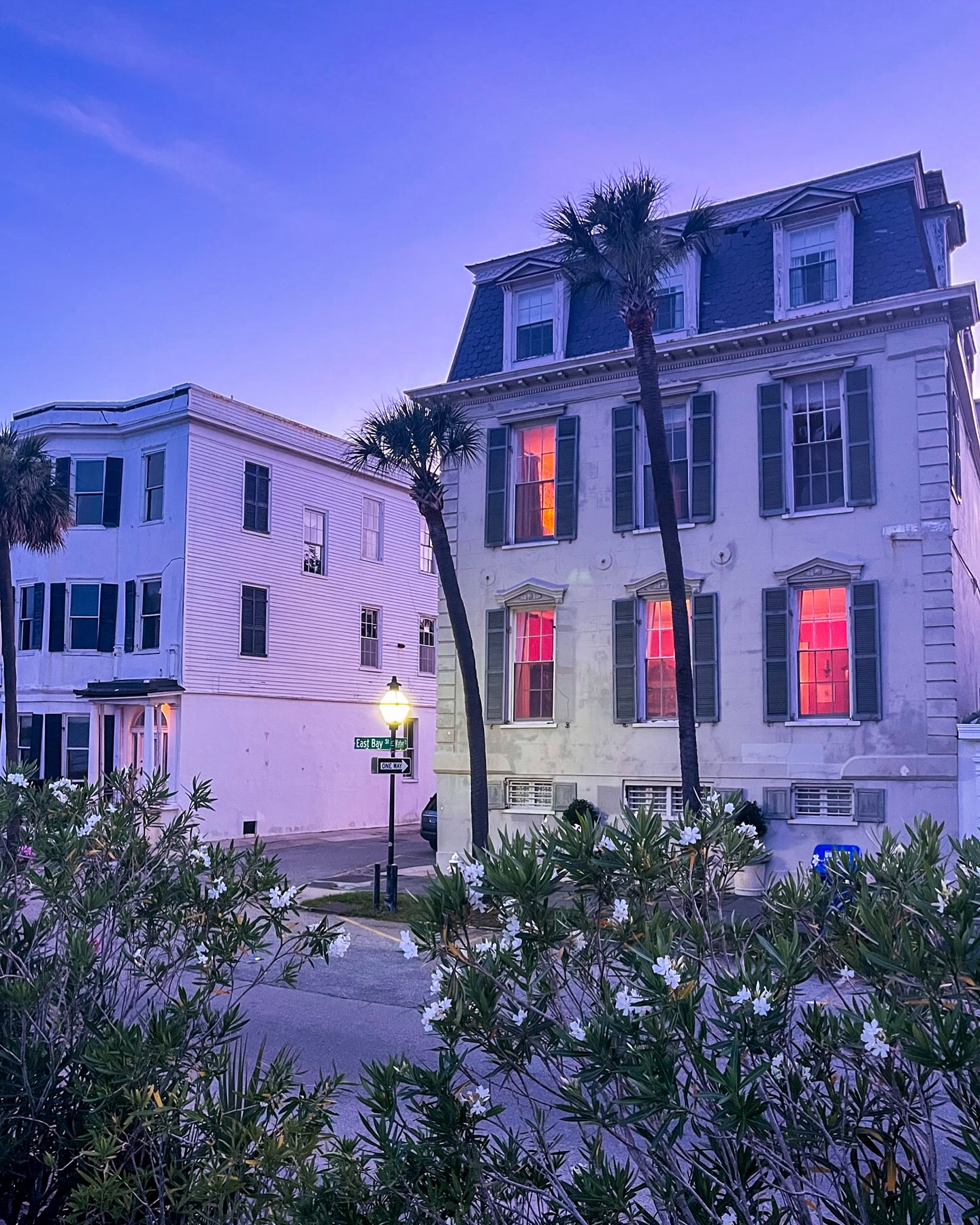 Along The Battery. #charlestonsc