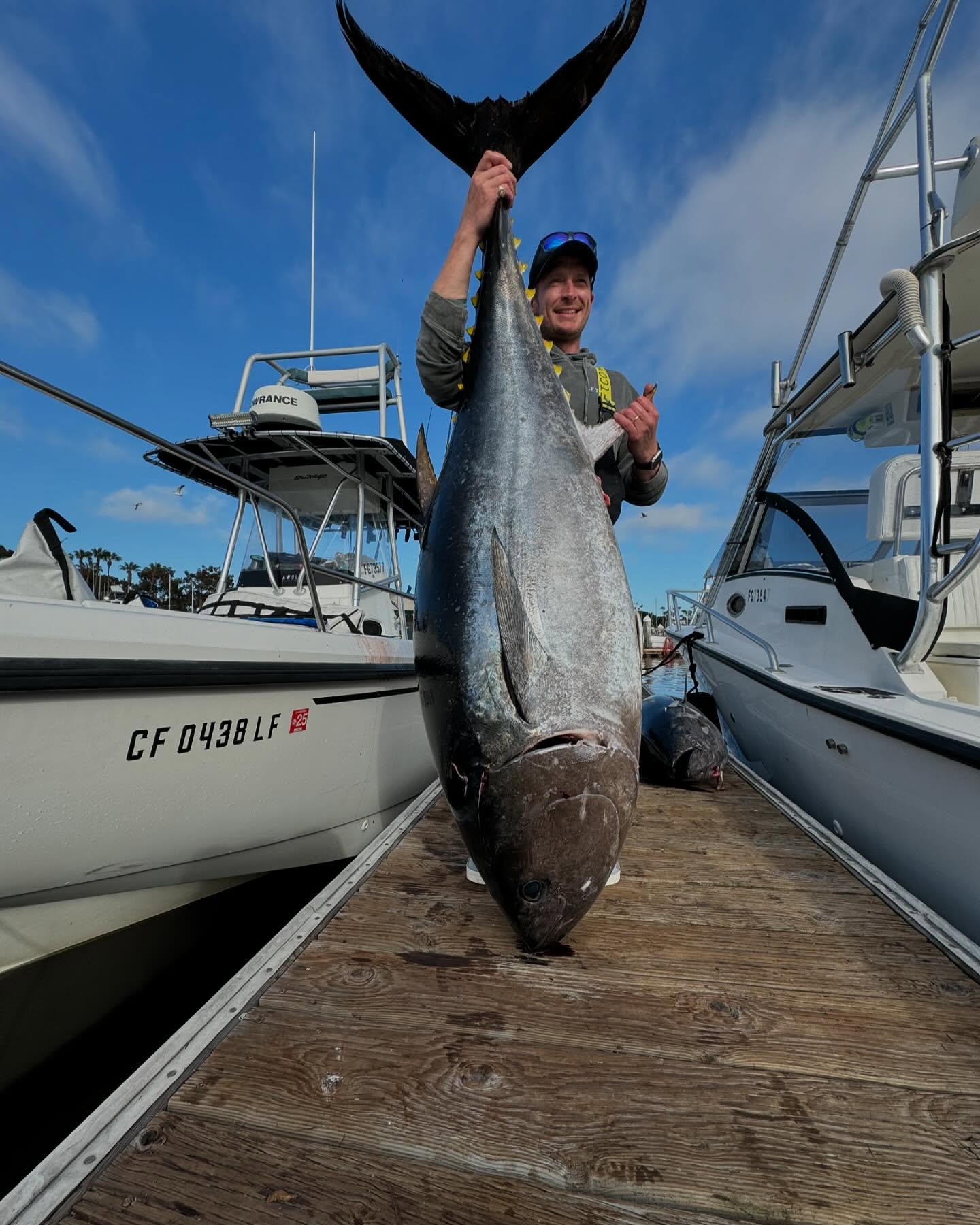 The trophies are in town! Very good fishing for bluefin from 150-225! Awolsd.com to book. #bluefin #bluefintuna #fishingcharters #sandiegocharters #bigfish #awolsportfishing #fishingexperience #californiafishing #arizonafishing #tunafishing