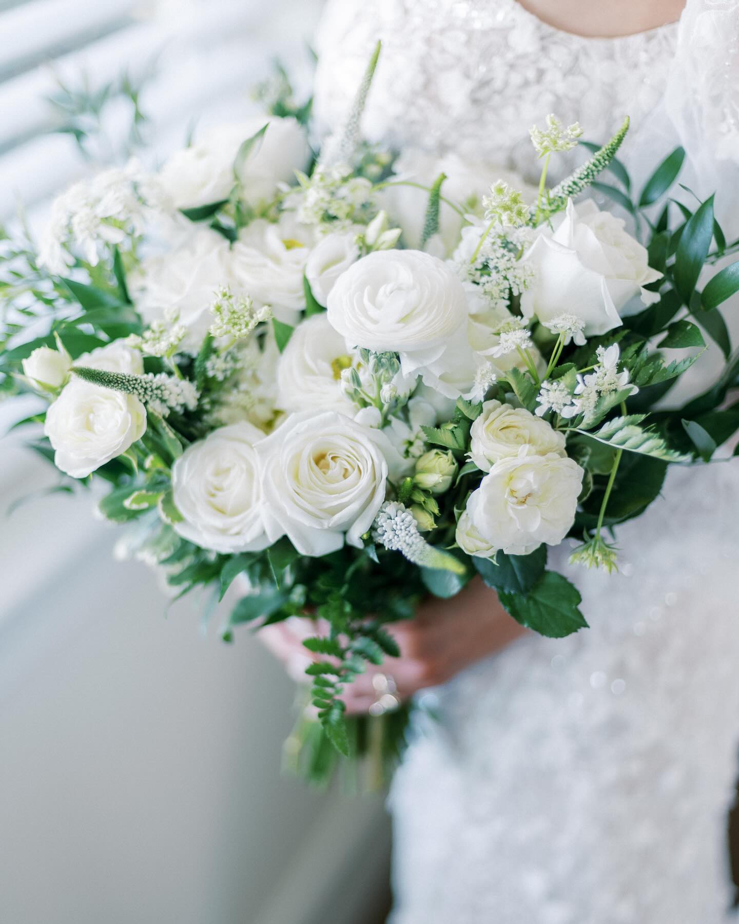 ๐ค๐ค๐ค
Venue: @bellaterra_events
Photographer @leanamyraphotography
Planner @heritage.west.design
Florals @brookeedelmanfloral @countryfloristandgift
#bridalbouquet #timelessbridalbouquet
#allwhitebridalbouquet #playablanca #ranunculus #emeraldgreenwedding #centralcoastwedding #californiawedding #weddingflorist #californiaweddingflorist #luxurywedding #luxuryweddingflorist #winerywedding #estatewedding