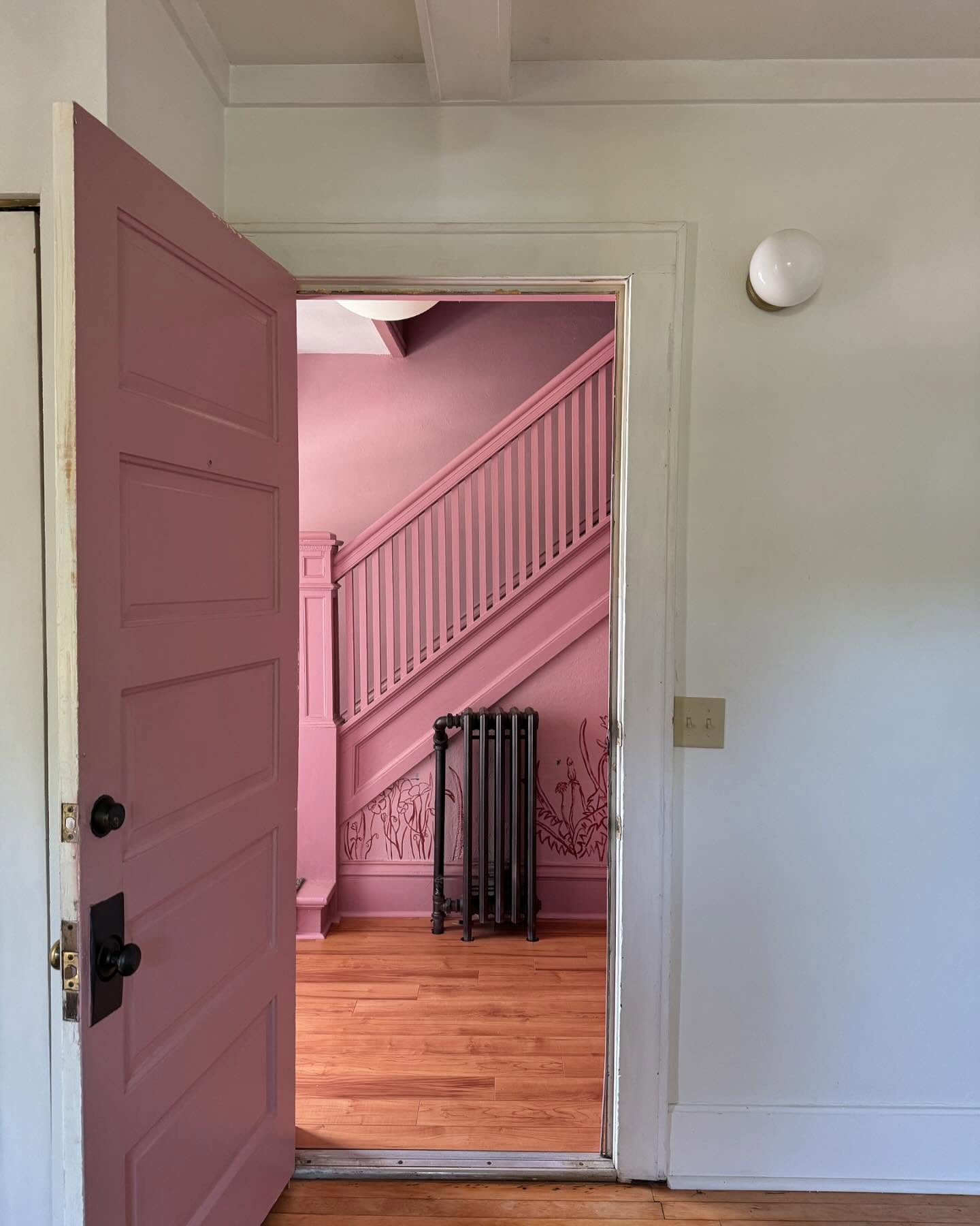 Our latest project!
Mauve/ pink hallway: botanical designs with cranes
We love how this turned out. Such a transformation in the before and after. We will share that soon. But for now just enjoy the afters.
I love how the color changes in different lights, from light pink to mauve.
