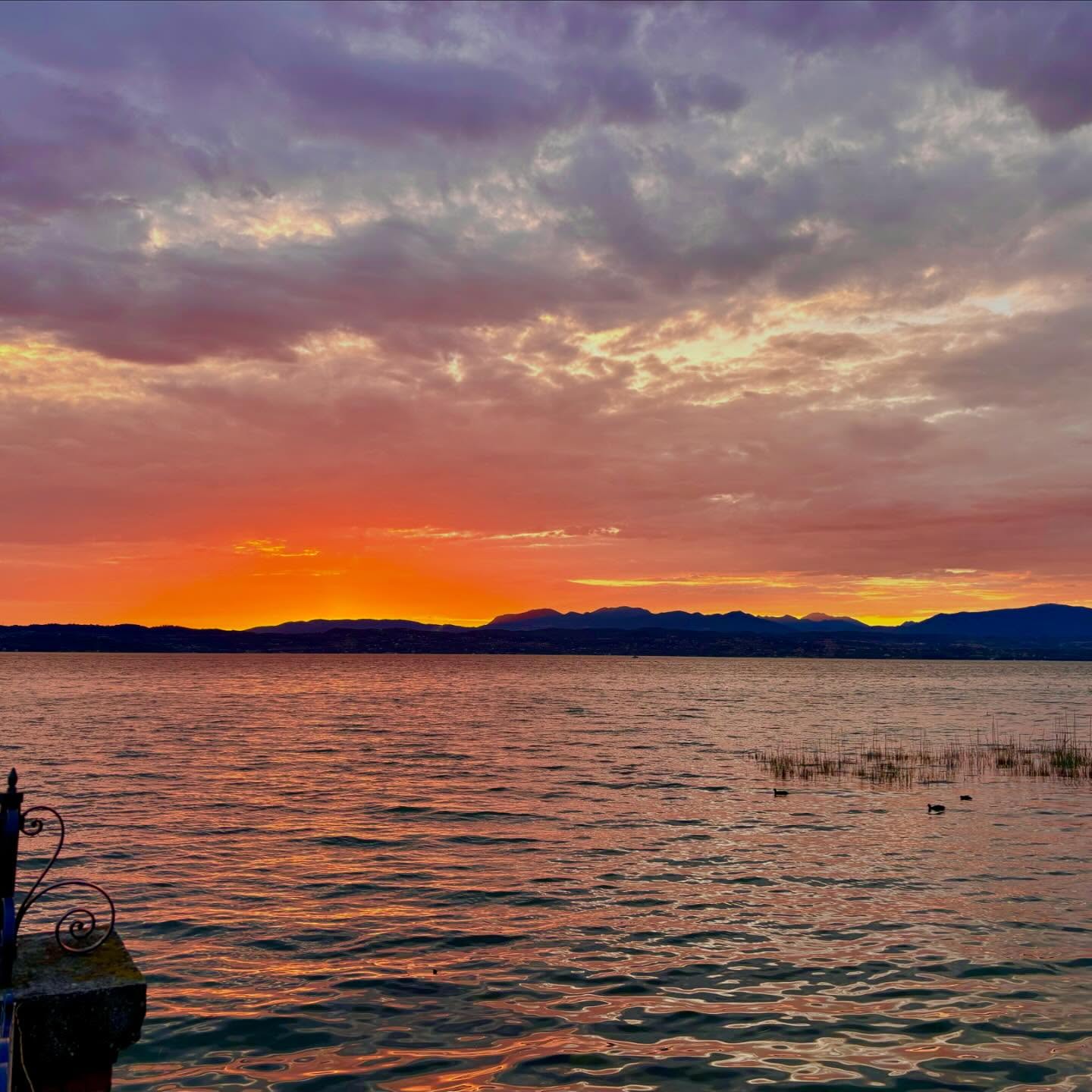 On going sunset 🌅
#villapioppi #villapioppihotel #villapioppirestaurant #villapioppipizzeria #sirmione #gardalake