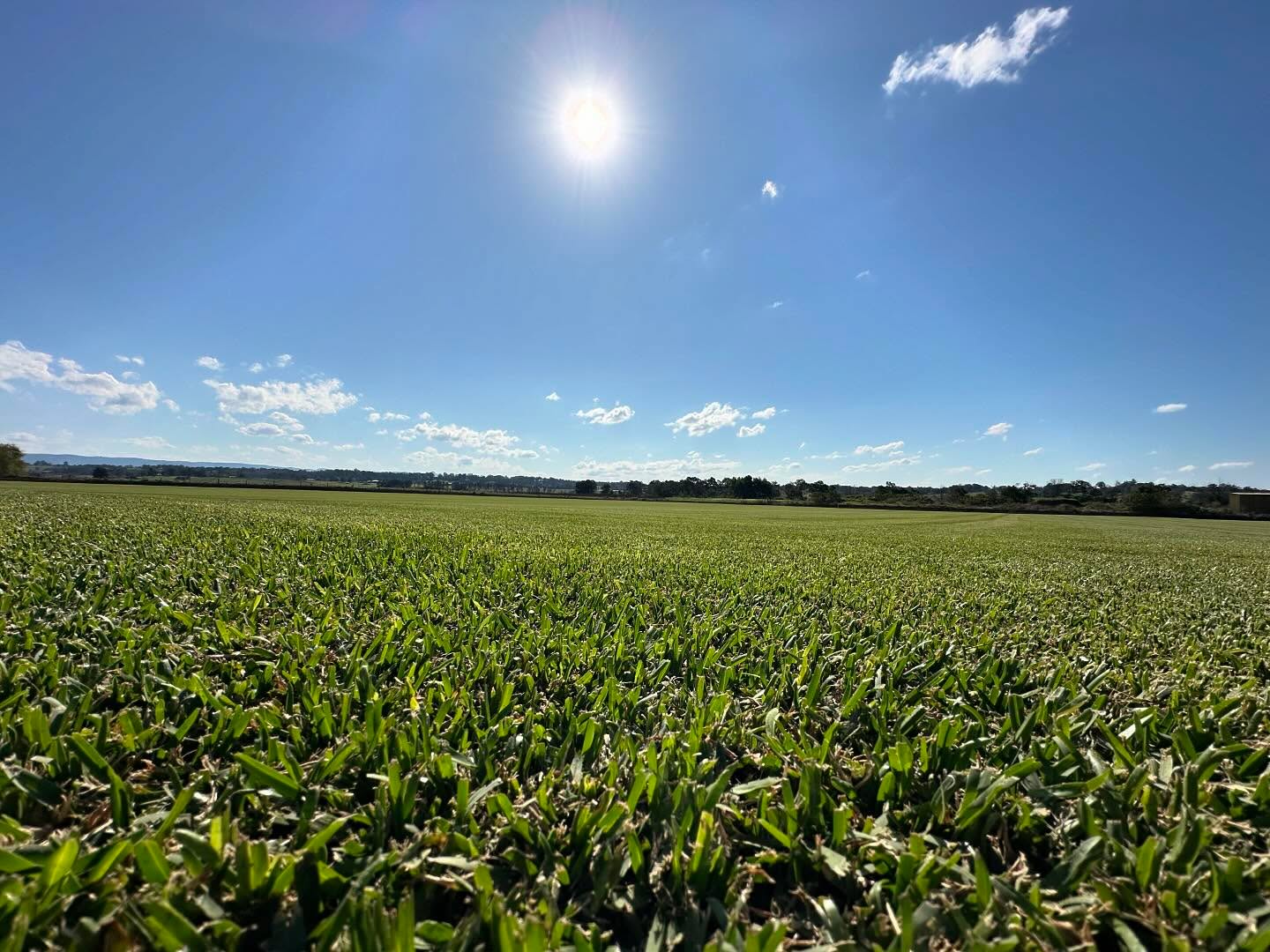 ๐ค๏ธ As the weather starts to slowly warm up it wonโt be long till the grass is green again!! ๐ฟ
Get in touch โฌ๏ธ if you need new turf!
https://awesometurf.com.au
#awesometurf #buffaloturf #homelawns #homelawn #Lawn #lawn #turffarmer #turffarms #turffarming #turffarming #grass #grassisgreener #commercialturf #kikuyu #turflife #turfgrass #turf #kikuyuturf