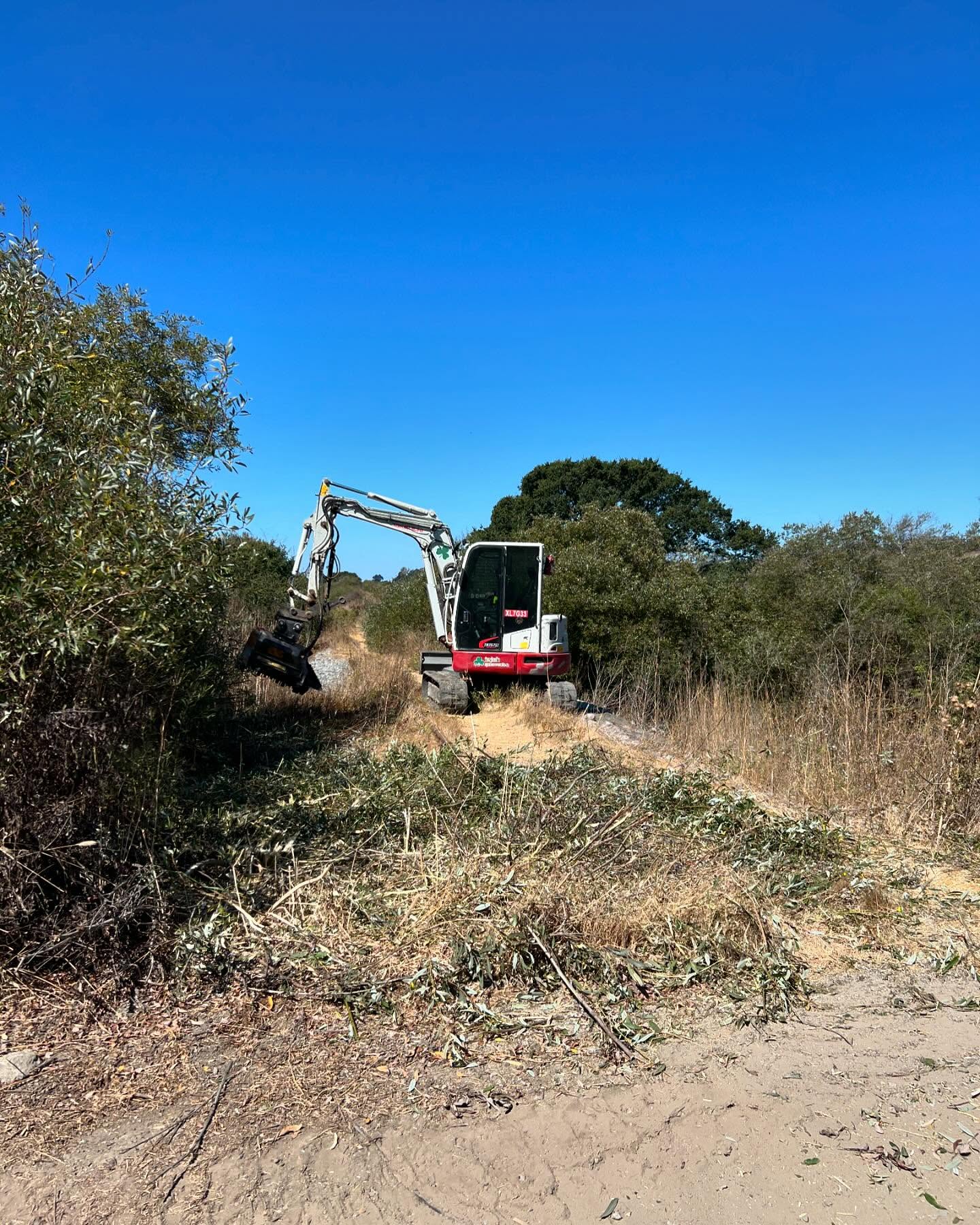 Day one of the ditch clearing and culvert locating project in Santa Cruz county! This area had a ton of overgrown vegetation, so we sent the #takeuchi #tb257fr with #fae #bl1ex forestry mulcher in first, followed by the #tb2150r with #kinshofer fer tiltrotator for the ditches. The crew is checking out the hyrail dump truck, this is going to be an excellent setup. All aboard! #irishexcavation #takeuchi #excavator #tb257fr #tb2150r #freightliner #hyrail #hyrailtruck #ditchwork #drainage #floodcontrol #rightofway #rail #railway #railroad