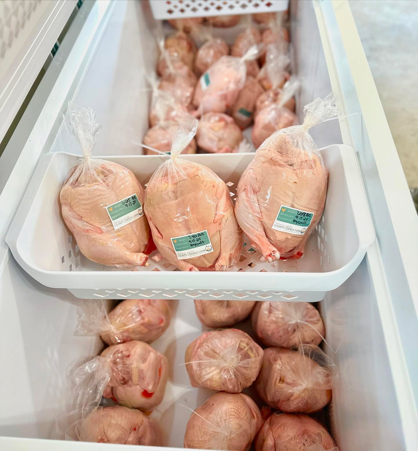 Our final 2024 chickens are chilling for a few days before making their way to our customers!
This last flock produced 71 chickens with our largest weights yet - some over 9 lbs. 😲 - grown purely on non-GMO grain and pasture! 🐓
#nongmo #pasturepoultry #hobbyfarming #farmtotable