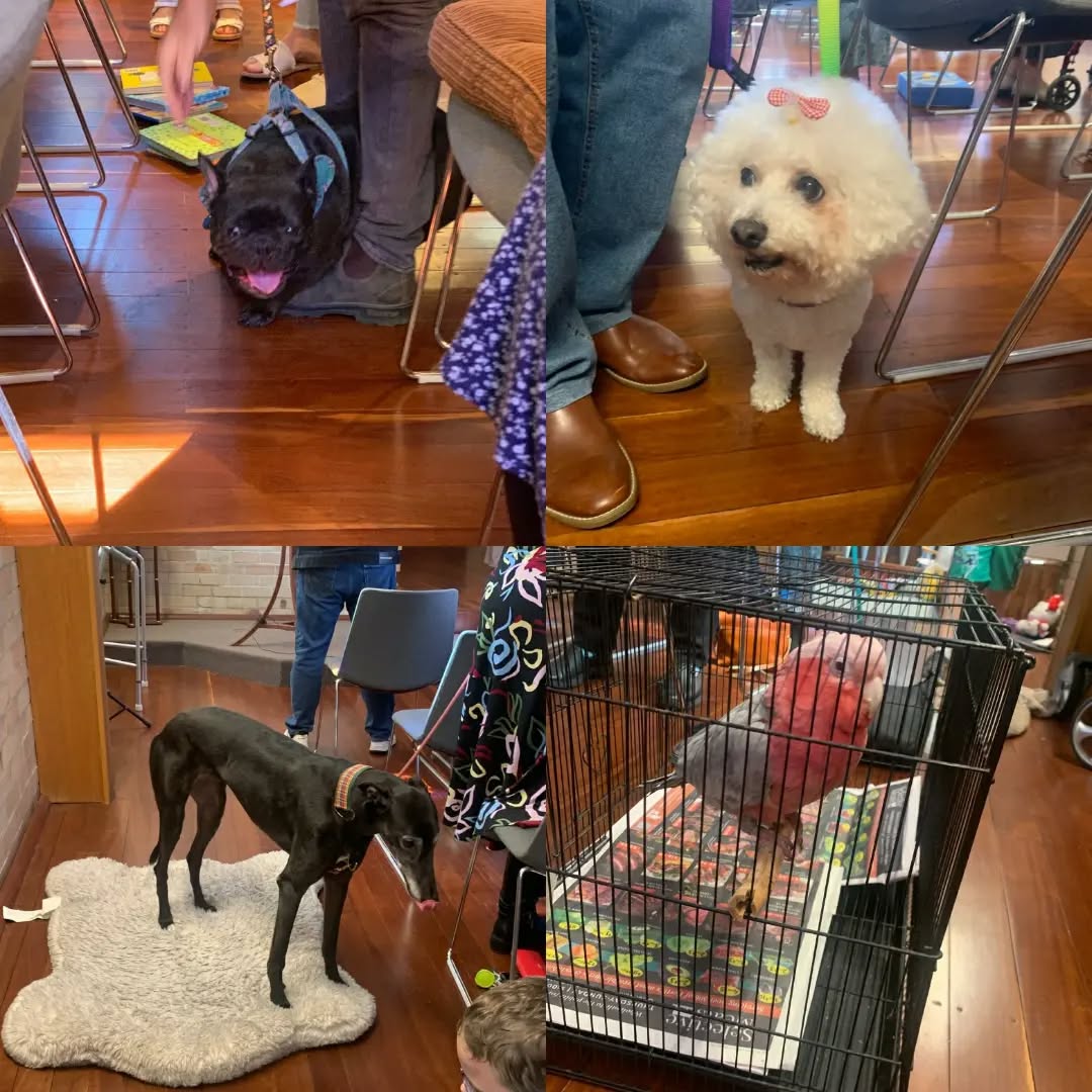 All creatures great and small were celebrated today at St Michael and All Angels. The joyful chaos was even more abundant than usual.