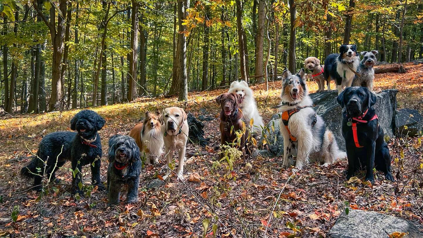 Oops…We Did It Again! 📸🍁