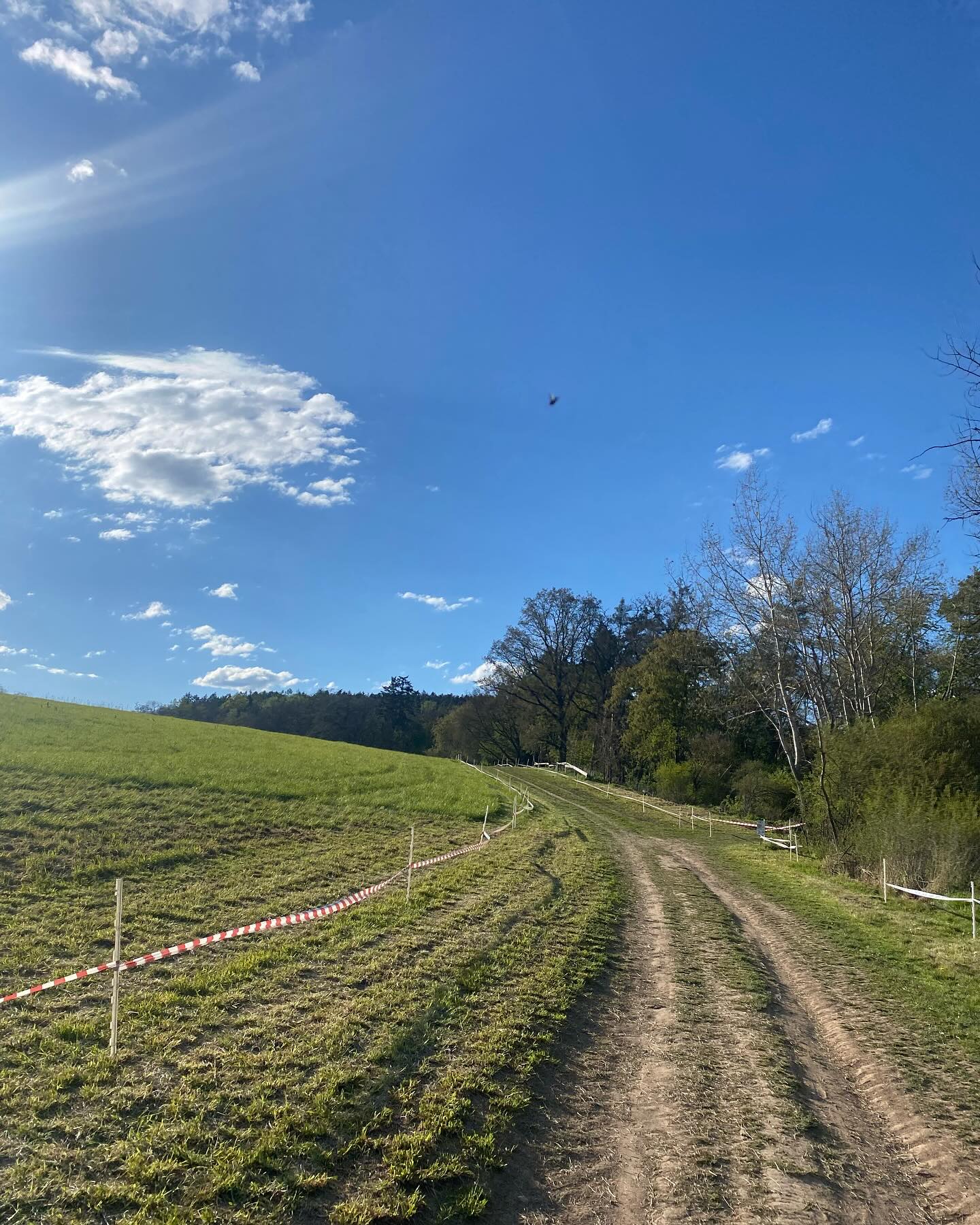 Tratě připraveny👍🏻
🇬🇧
Tracks are ready👍🏻