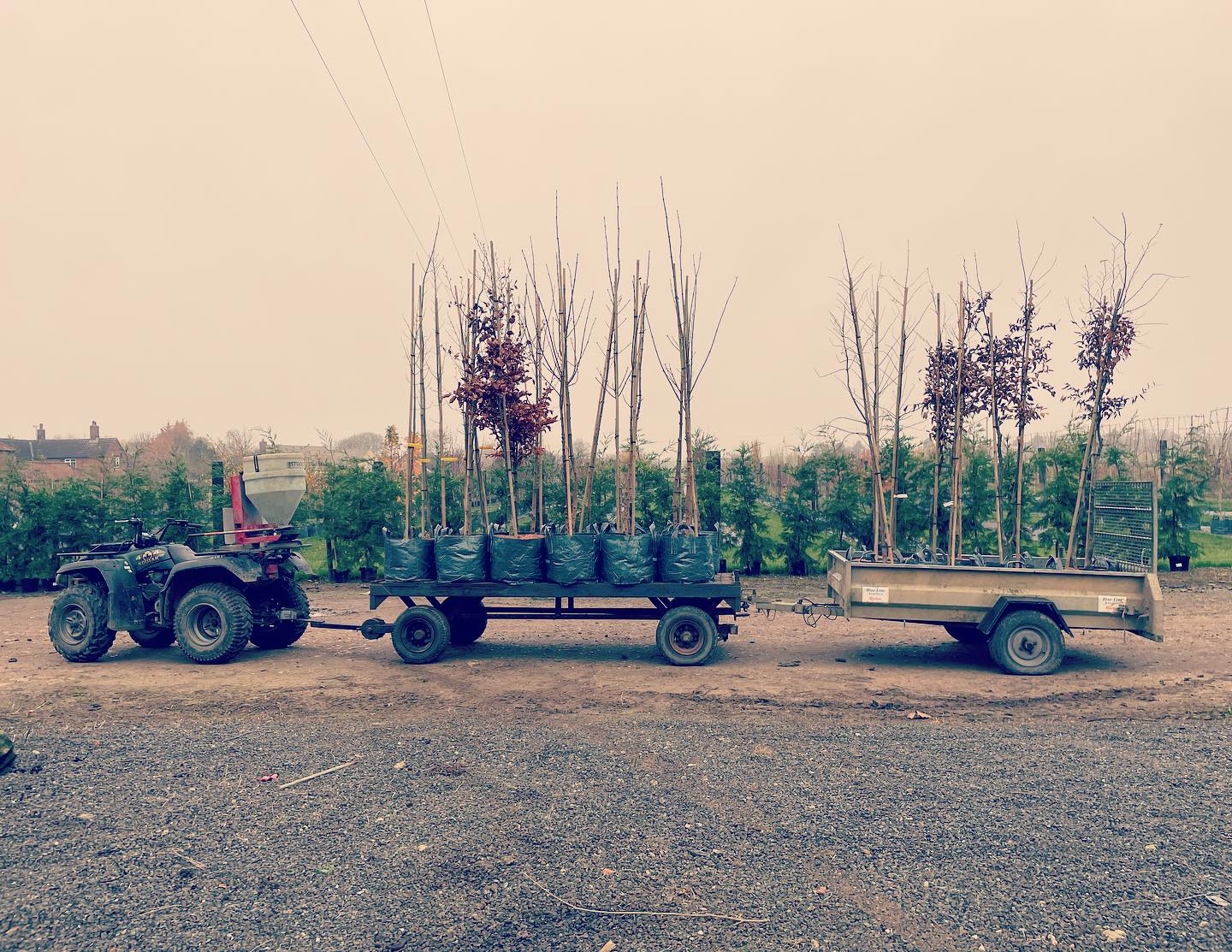 Tree train ππ³π²π³π²