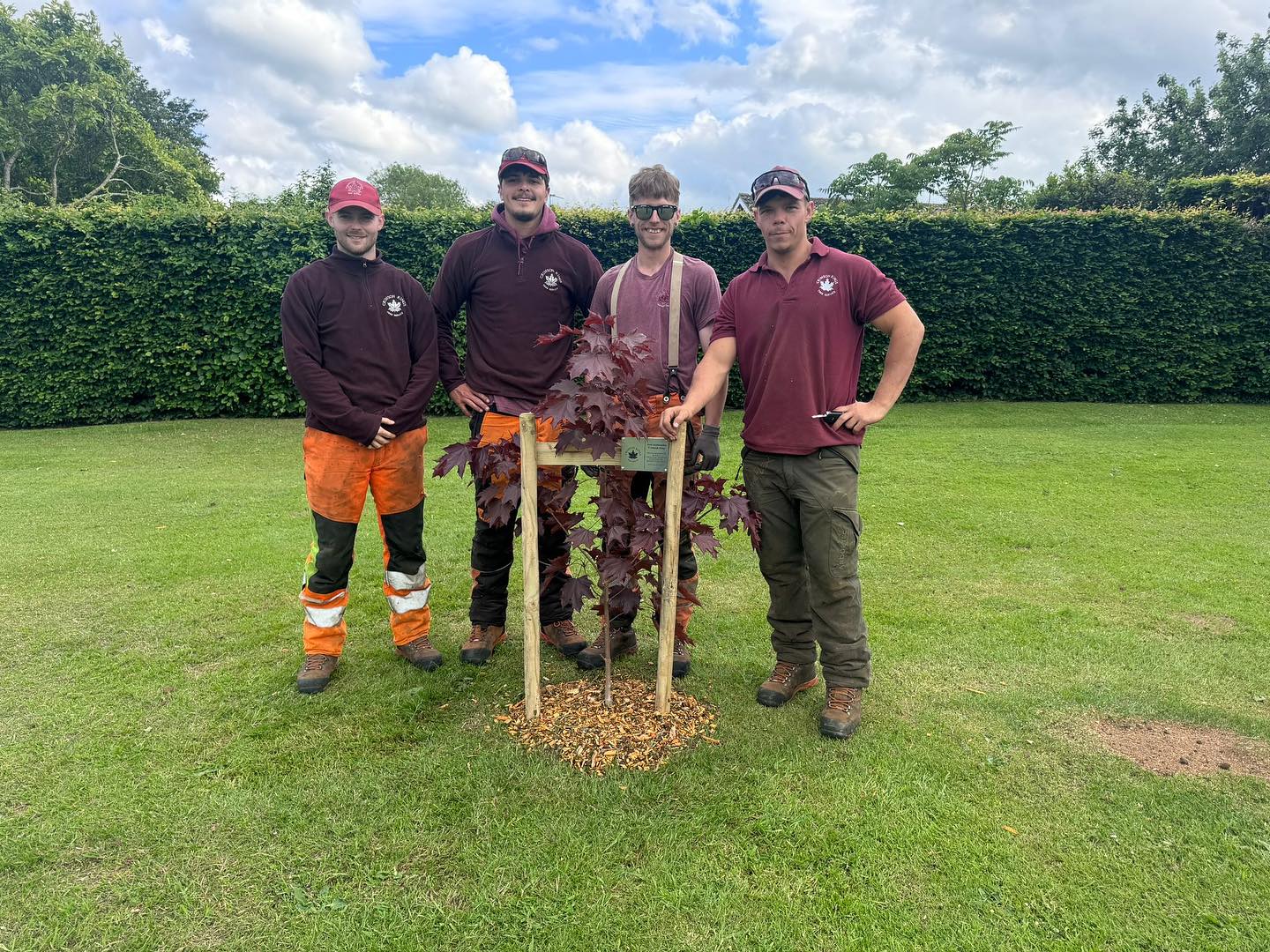Nice to see the nursery trees in their new homes, π³ this one planted by the @crimsonkingstreeservice guys