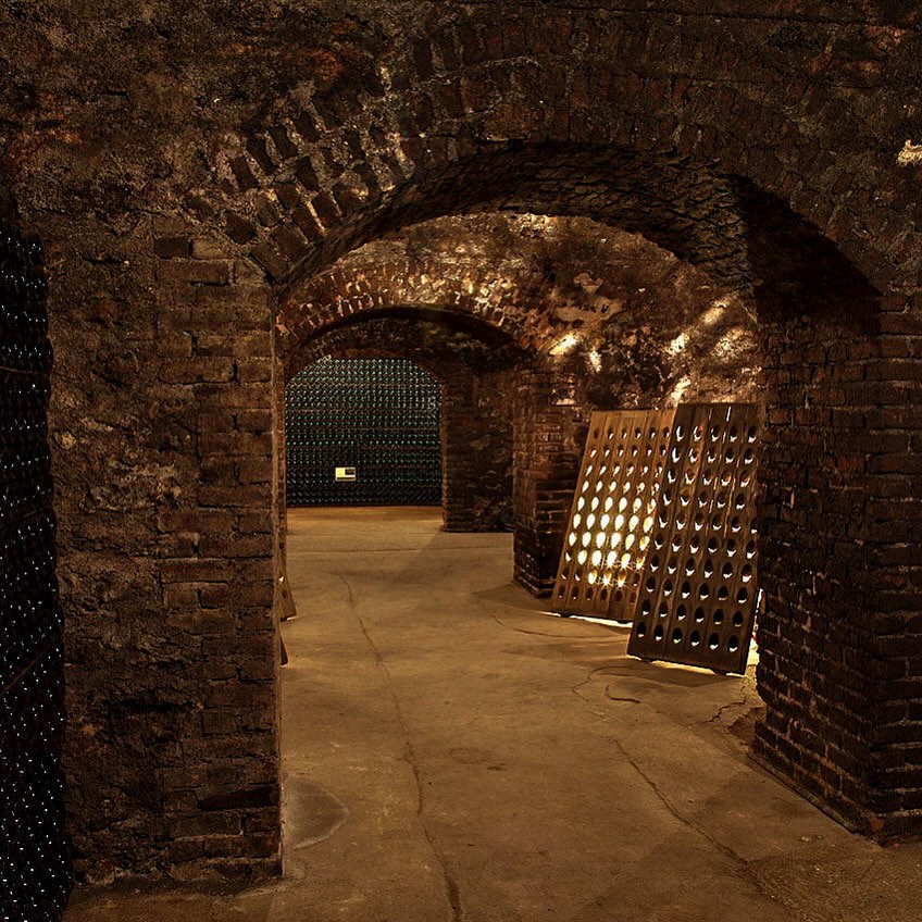 FROM THE CELLARS OF EPERNAY TO AROUND THE WORLD
From the sustainable planting of the vines in the best terroirs of Champagne to the first pruning and the hand-picked harvest in the 18th- and 19th-century vineyards, we devote ourselves with the utmost care and dedication to the production of fine champagne to create perfection.
Visit our cellars in Epernay and the best vineyard regions of Champagne.
__
#champagne #champagnecellars #champagneworldwide #epernay