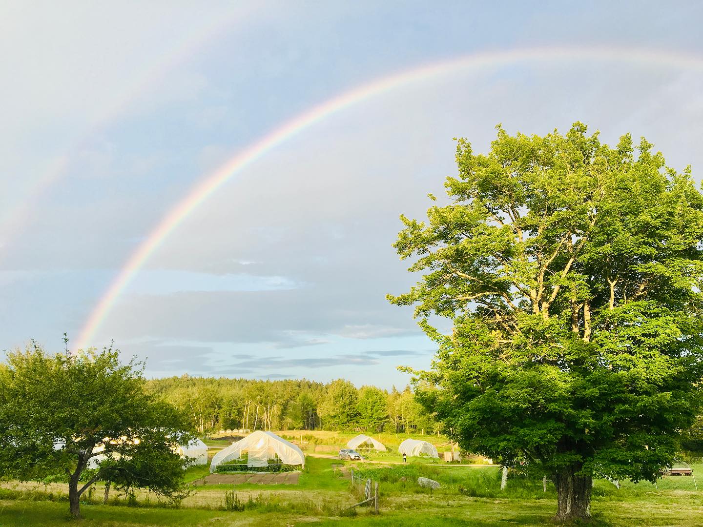 It’s a good day! The @fourseasonfarm account has been fully recovered and restored after being hacked and ransomed on Sunday Oct 1st. Thanks to the power of this beautiful community, I was put in touch with someone who could help. You know who you are, thank you!!
#fourseasonfarm