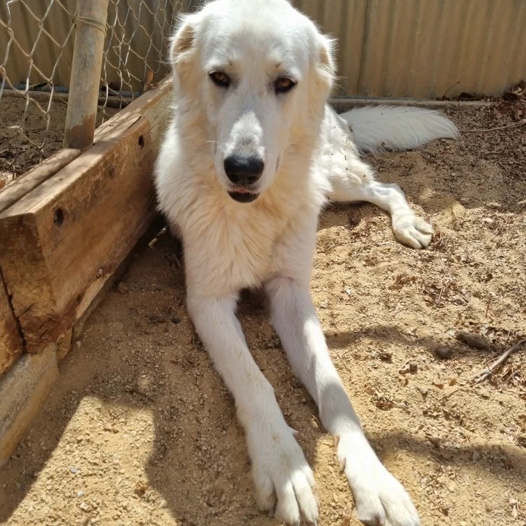 Our beautiful Lily