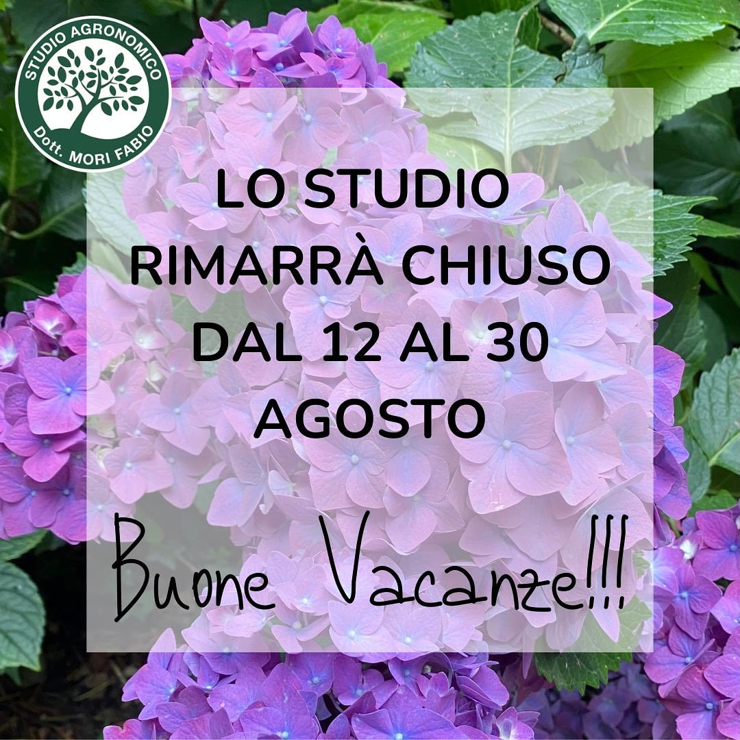 Finalmente un po’ di meritato riposo 😅😁 Avvisiamo la Gentile Clientela che lo studio rimarrà chiuso per ferie da lunedì 12 a venerdì 30 agosto compresi! Ci vediamo a settembre!!! Buone vacanze a tutti ☺️🏖 😎