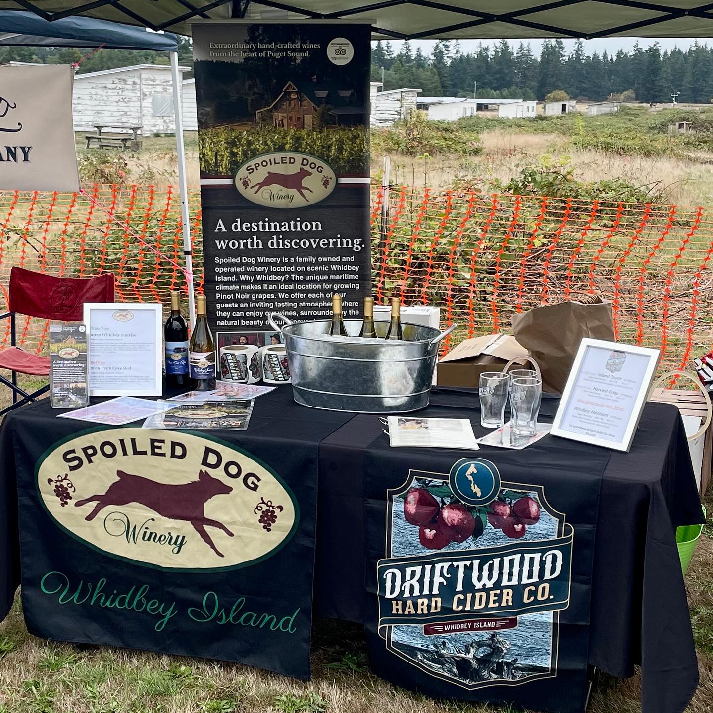 We are all set up at the Whidbey Island Cider Festival! Come visit us and @hierophantmeadery @misfit_island_cider @greenbankcidery @spoileddogwinery @penncovebrewingco and @whidbeydistillery to sip local Whidbey Island crafted beverages!