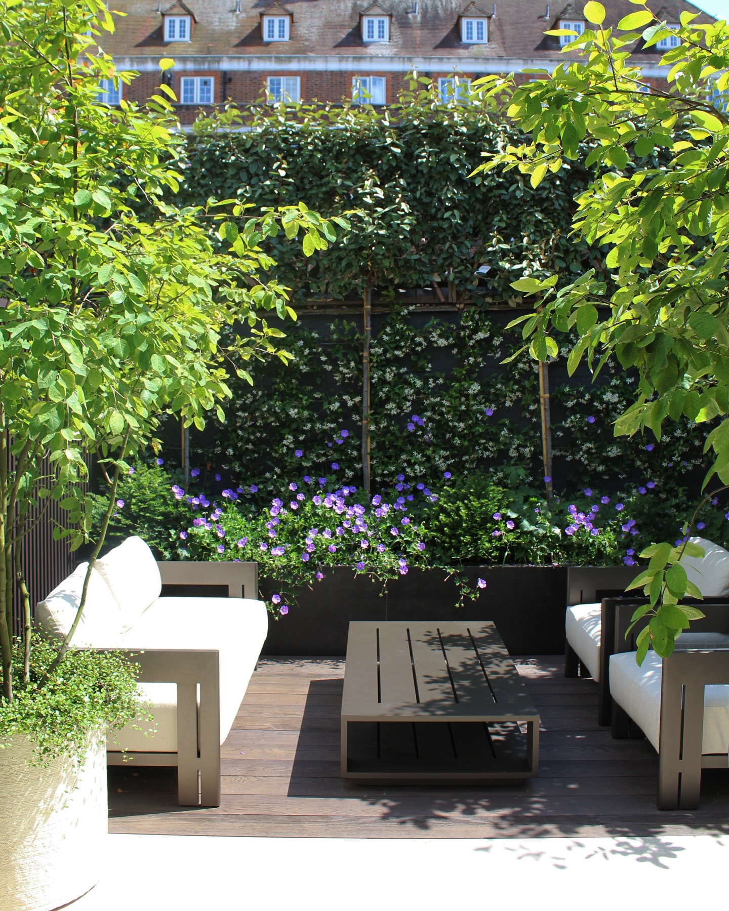 Completed this courtyard garden in Fulham Chelsea, featuring a stunning back wall framed in pleached Elaeagnus & trachelospermum jasminoides. The simple yet elegant planting palette of purples and whites brings a touch of tranquility to the space.
#GardenDesign #CourtyardGarden #OutdoorOasis #greenspaces #gardentransformation