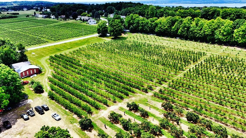 It’s a beautiful day for cherry picking! Come on by for the highest quality, sweetest cherries you’ll find. We have dark sweets, Rainier’s and tarts all available with easy picking 🍒