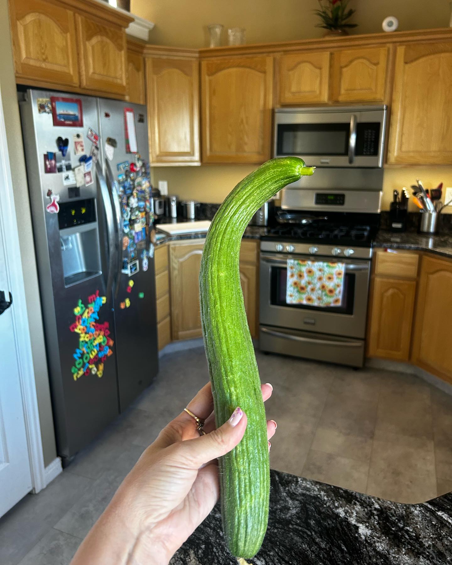 Soooo … this was supposed to be an Armenian cucumber 🤔