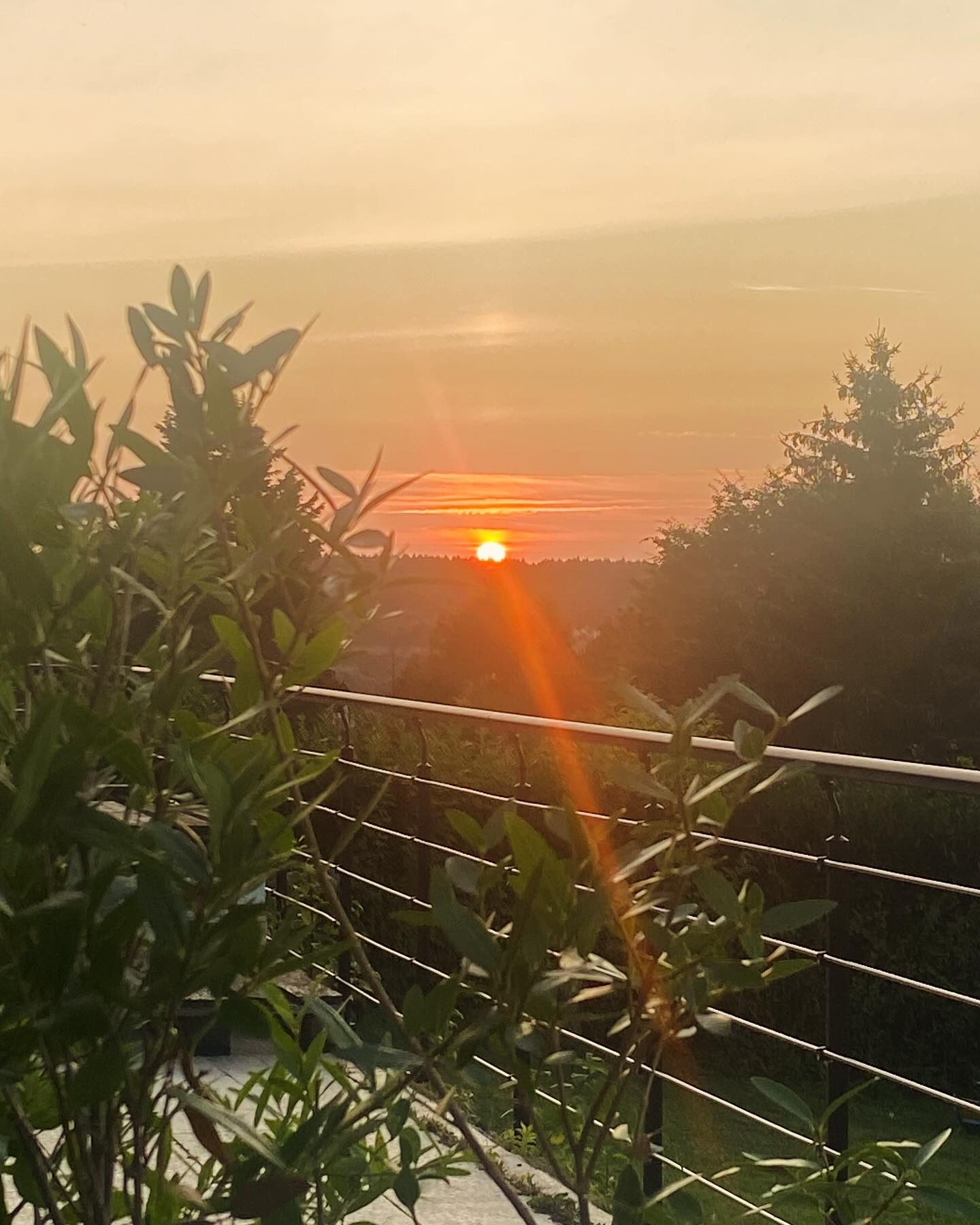 Le couché de soleil de la guinguette de Simone : magique !
#sunset #sunsetlovers #bedandbreakfast #normandie #holidays #weekendauvert #rouentourisme #saintpierredemanneville #campagnefrancaise