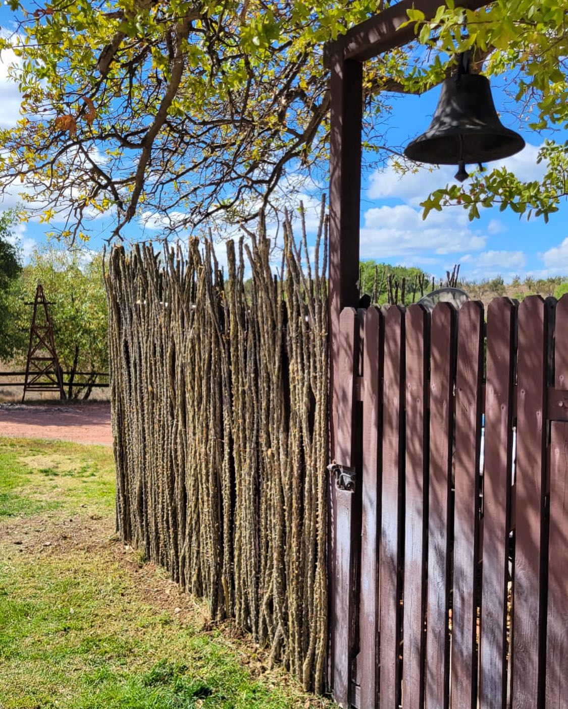 Finish your project with our ocotillo panels. An ocotillo fence serves as privacy and security all while being planted in the ground giving it a chance to bloom🌱 especially during spring and monsoon season becoming a living fence🌿🌿
#sonoranocotillo #ocotillofence #livingfence #sonorandesert #tucsonaz #phoenixaz #southerncalifornia #desert #desertvibes #ocotilloplant #desertdwellers #desertlife #cattlecountry #desertscape #desertliving #desertstyle #fencedesign #desertlandscape #homeandgarden #calilandscape #desertarchitecture #stickfence #ocotillo #fenceideas #desertoasis #deserthouse #desertbloom #desertgarden #ranchlife #deserthome
