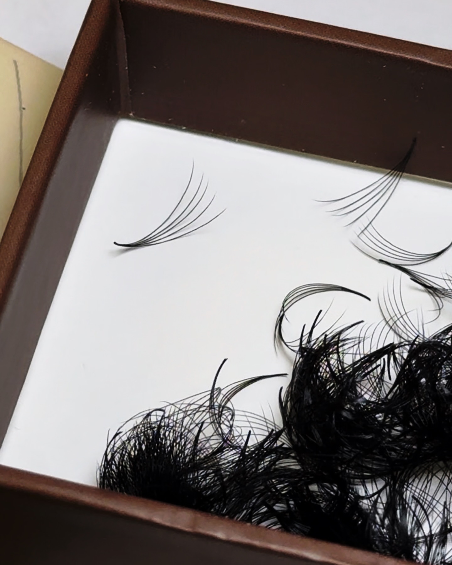 We’re thrilled to introduce our stunning new packaging for the most beautiful 5D (0.07) Premade Fans!
💖✨ Each set of lashes now undergoes 5 rigorous quality checks to ensure that you receive only the best. We believe in perfection, and we’re committed to delivering flawless lashes every time!
Get ready to elevate your lash game with our premium quality fans! 🥰💫
#MeBeaute #5DLashes #QualityFirst #LashGoals #BeautyUnleashed