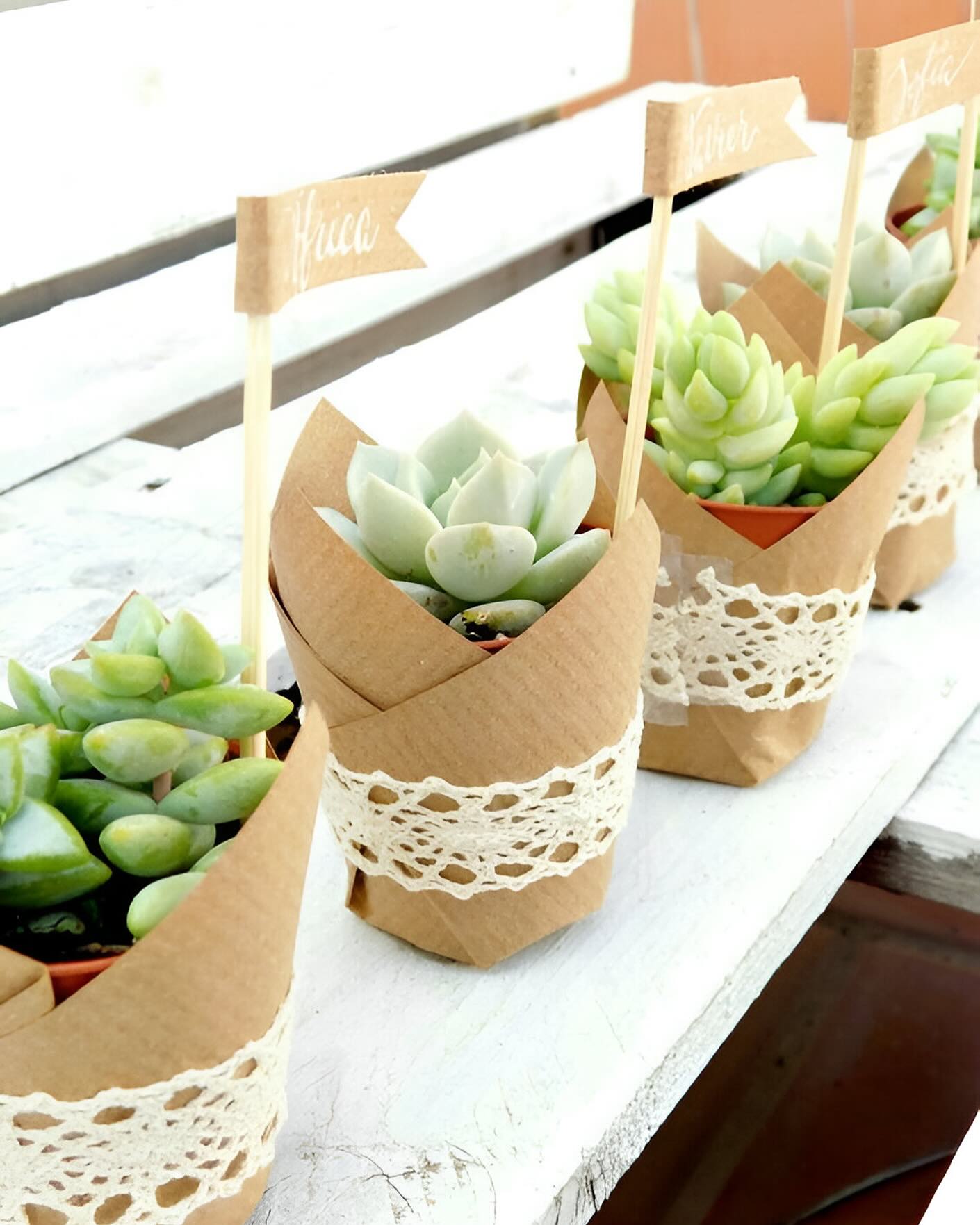 Give the gift of resilience with our mini succulent favors! Perfect for guests to take home and enjoy, symbolizing enduring love and growth. 🏡🌵
Click link in our bio to visit our website!
Pic from Pinterest!
#GTPlants
#SucculentFavors #DIYSucculents
#SucculentLove #SucculentArrangements
#SucculentCare #SucculentMagic
#DIYInspiration #OttawaSucculents #SucculentLife
#PlantLovers
#GreenDecor #CanadaSucculents #CanadaWeddings #MiniSucculents #WeddingFavoursCanada #WeddingFavoursOttawa #WeddingFavoursMontreal #WeddingFavoursCalgary #WeddingFavoursVancouver #EasyCareSucculents
#AdaptablePlants
#IndoorOutdoorDecor
#GiftsThatGrow
#EcoFriendlyWedding
#SustainableLiving
#PlantLoversCanada