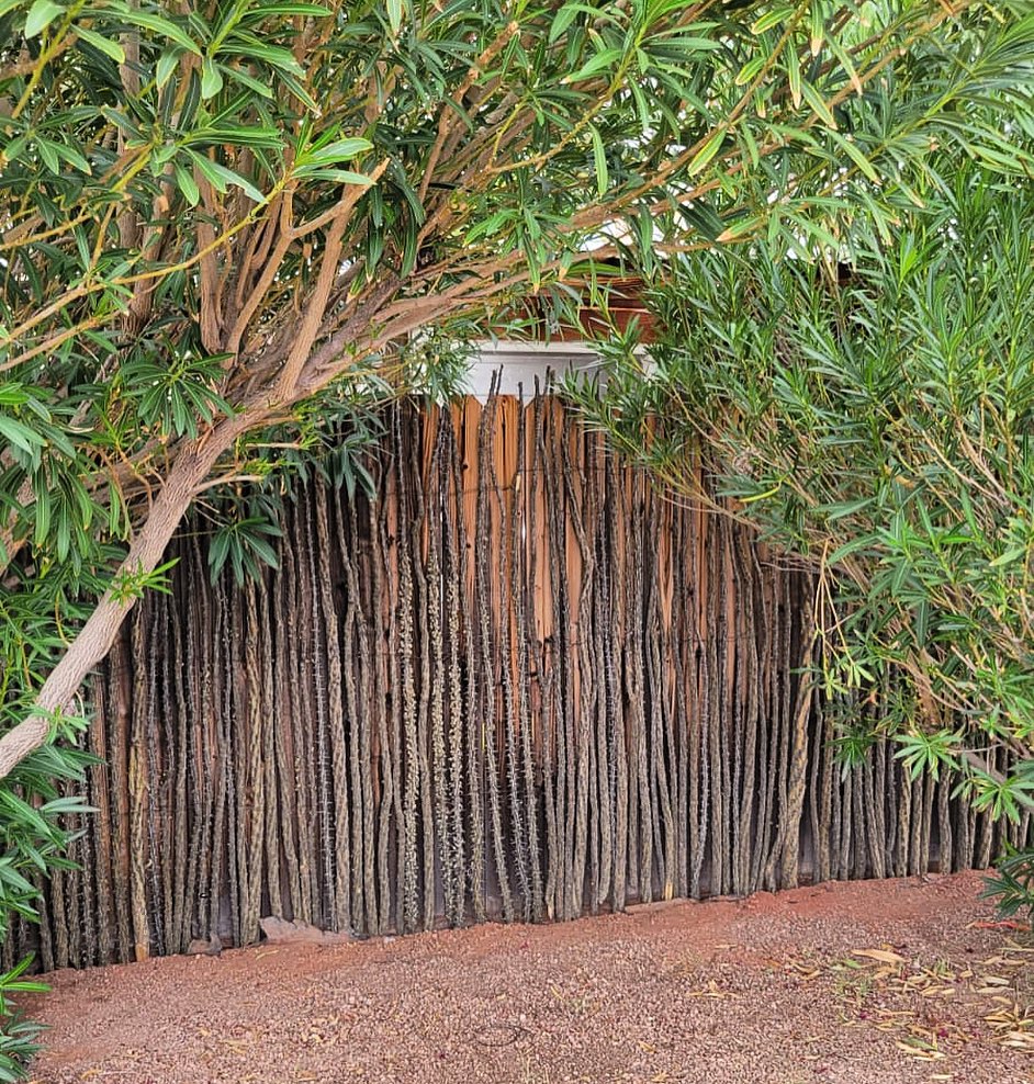 Add a touch of nature + security to your existing fence 🌵