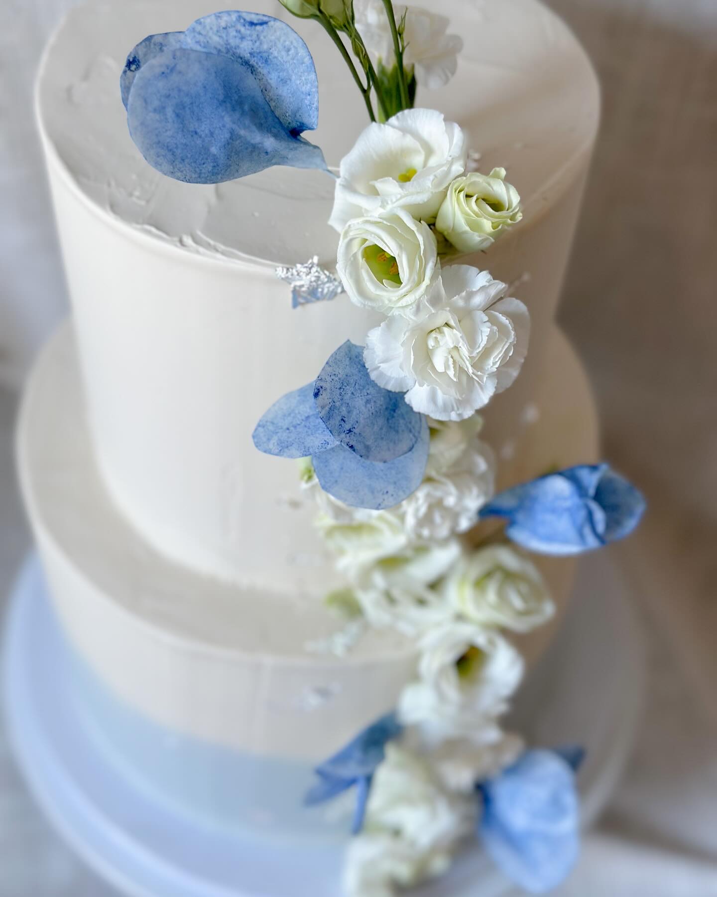 some weddingvibes 🤍 ✨💙
#heiraten2024 #wedding #heirateninfranken #hochzeitstorte #patisserie #konditorei #juliasitter_patisserie
