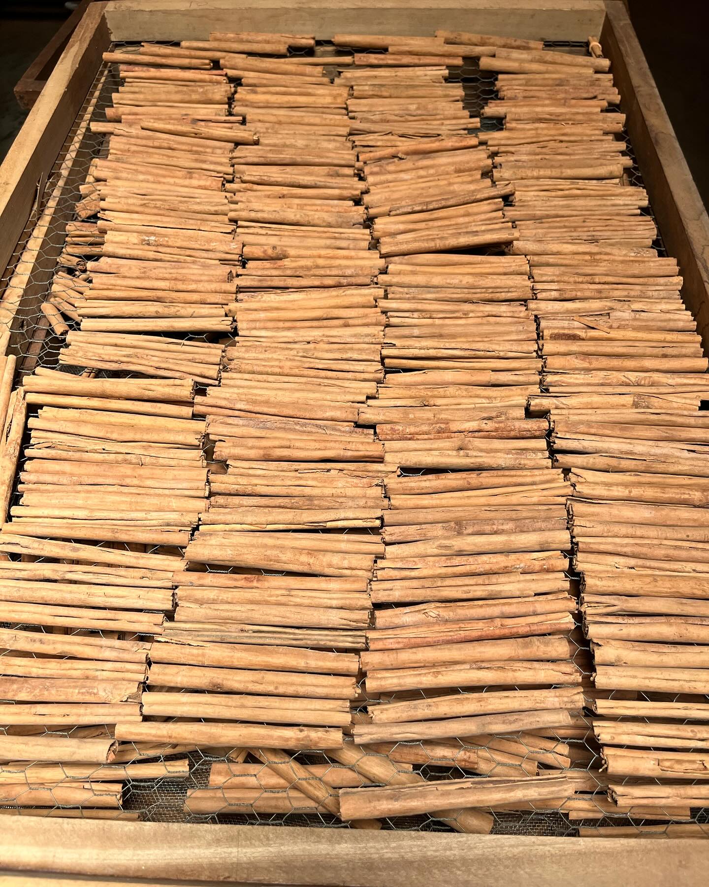 Our fresh and ethical cinnamon is available in a whole array of flavours, combining spicy and sweet mixtures to find the perfect balance just for you! When it arrives from our farmers our team taste the batch and decide on where it sits on the scale of flavour, and then can create a dreamy combination that you love!
#cinnamon #flavour #spicy #sweet #foryou #yum