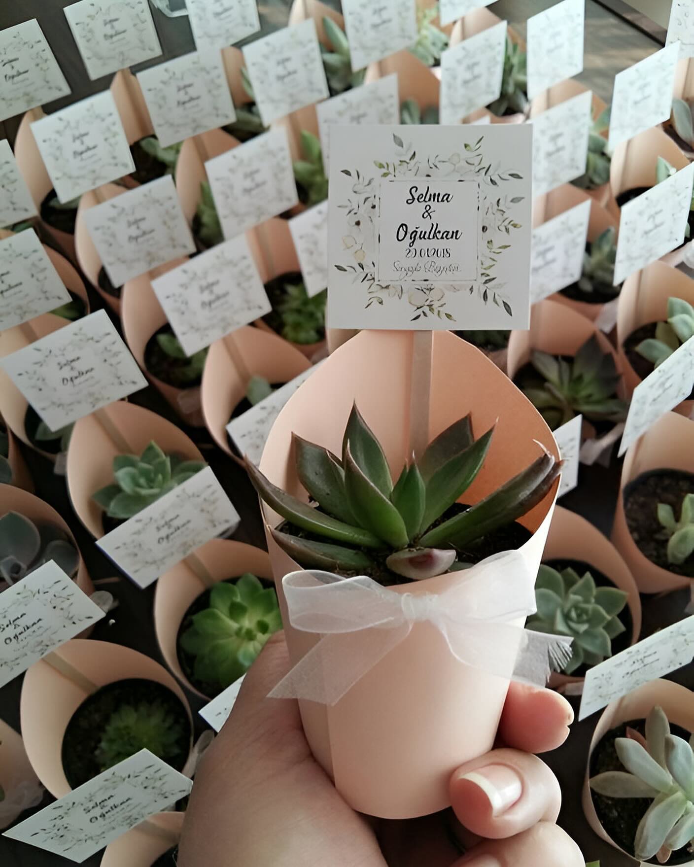 Our mini succulent favors offer endless propagation possibilities, allowing your guests to grow and share the love long after your event 🌿💖
Canada-wide shipping!
Pic from Pinterest!
#HomeDecor
#GiftIdeas
#CelebrateWithPlants
#SucculentObsession #SucculentGarden
#IndoorPlants
#OutdoorDecor
#DecorInspiration #WeddingFavors
#BabyShowerFavors
#HousewarmingGifts
#CorporateEvents
#UniqueGifts #CanadaSucculents #CanadaWeddings #WeddingFavoursCanada #WeddingFavoursOttawa #WeddingFavoursMontreal #WeddingFavoursCalgary #WeddingFavoursVancouver #MiniSucculents #EnduringLove
#LowMaintenancePlants
#DurableSucculents