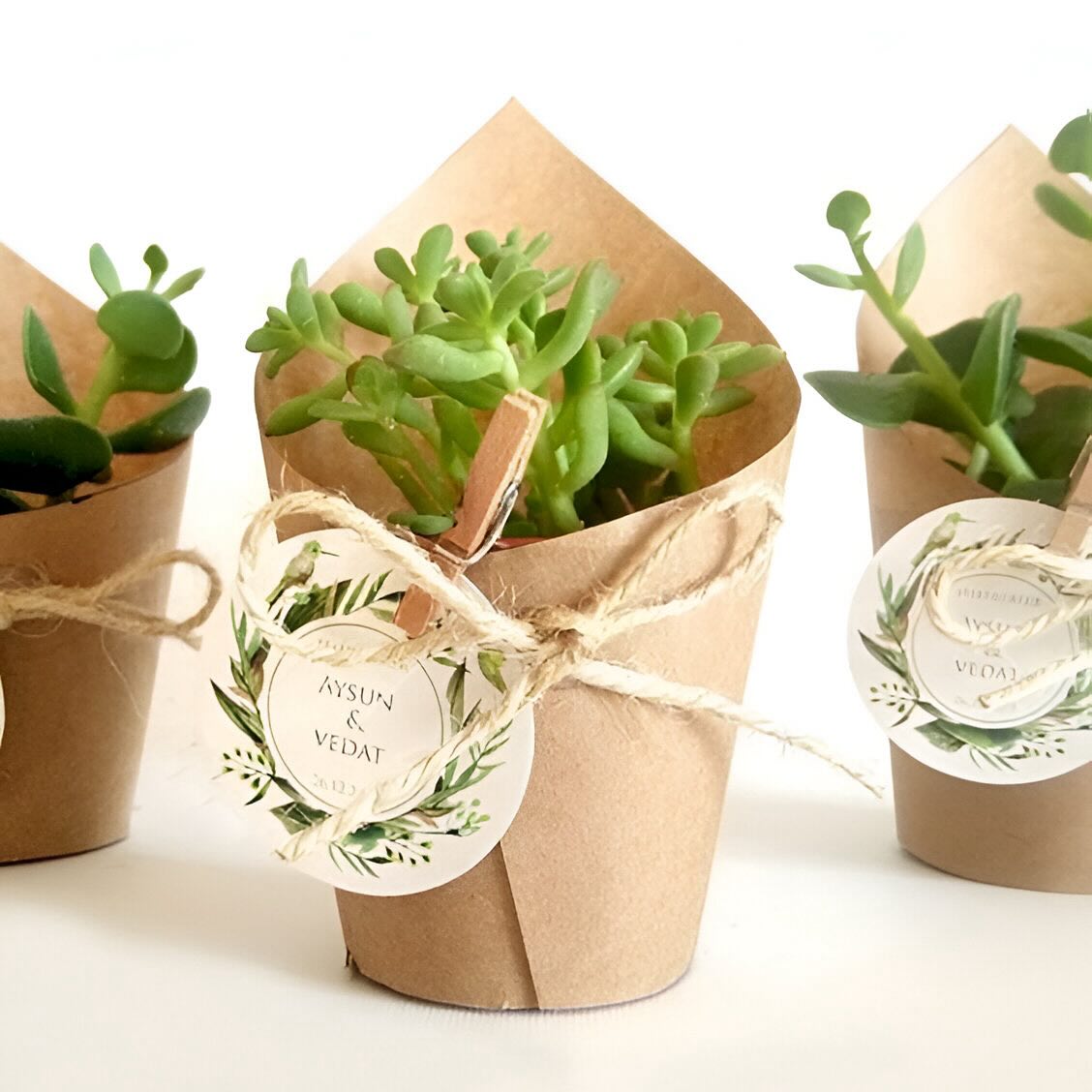 These adorable, low-maintenance plants are perfect for adding a touch of desert charm to any event.
Contact us for more information :)
Pic from Pinterest!
#SucculentsOfInstagram #WeddingSucculents #WeddingDecor #InstaSucculent #BridalShowerDecor #WeddingPartyGifts #SucculentGram #SucculentArrangement #GTPlants
#SucculentFavors #CanadaSucculents #CanadaWeddings #MiniSucculents #WeddingFavoursCanada #WeddingFavoursOttawa #WeddingFavoursMontreal #WeddingFavoursCalgary #WeddingFavoursVancouver