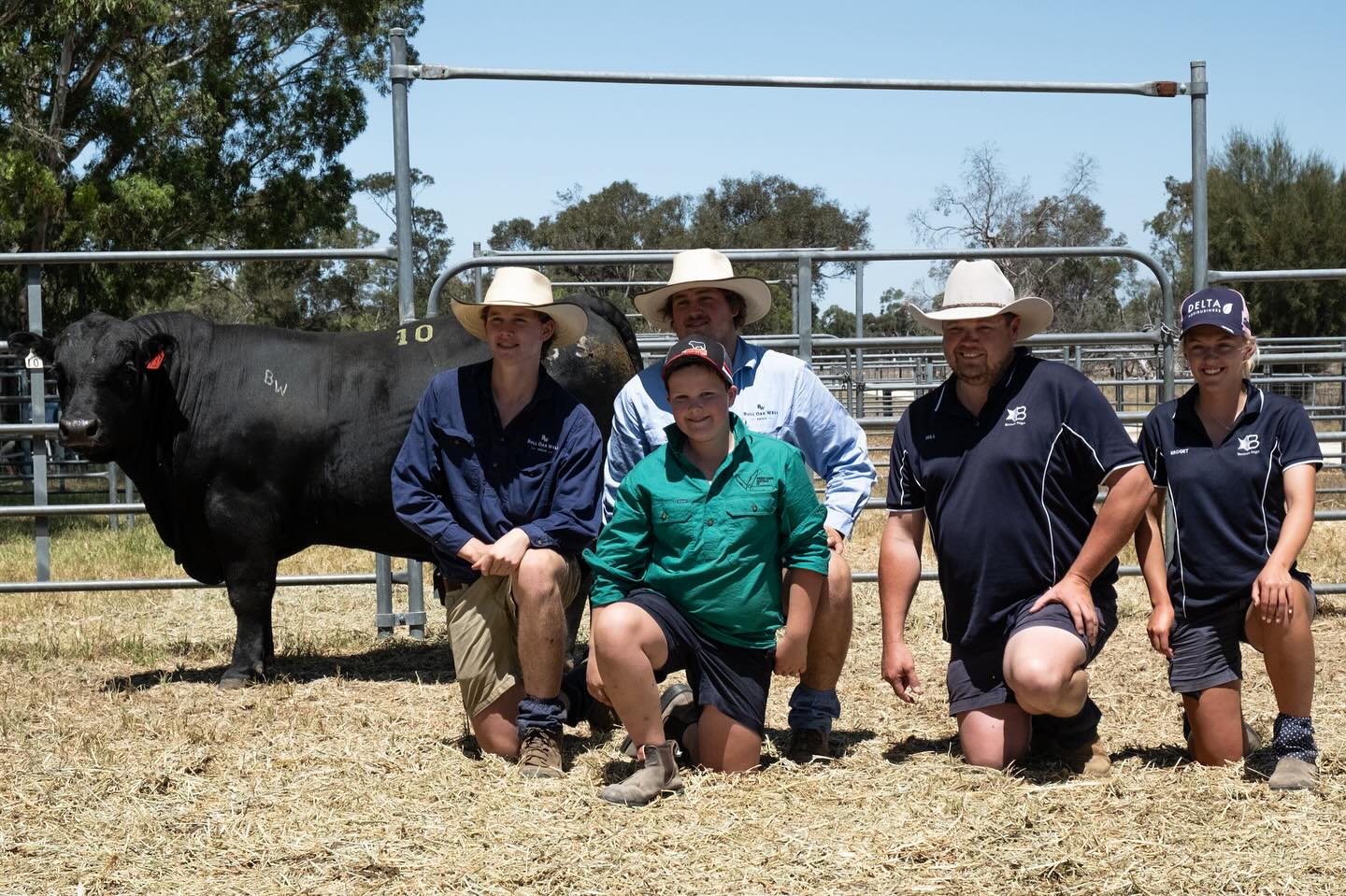 A massive thank you to all of our buyers, underbidders, agents, online viewers/bidders, helpers, BBQ cooks and everyone else that supported our family run bull sale on Monday for our first on-property sale.
We were absolutely blown away with the results from the day:
54/54 sold
$40,000 top to Binnowie Angus for lot 10 (stud record)
$12,111 average
A huge thank you to our selling agents Spence Dix & Co and PPHS as well as the other agents that came and supported our sale.
We whole heartedly appreciate the ongoing support from our clients, who continue to come back as well the support from our new clients.
We still have bulls for sale if you missed out on Monday!
📷 @sarahcunninghamphotography