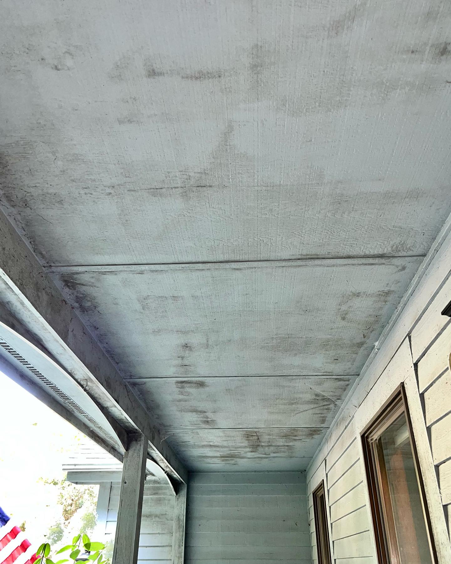 Sometimes a good paint job just needs a good cleaning ✨🏠✨
This house got a Soft Wash to kill all that mildew and any other organic growth!
Yours can look this good too 😉
Call/Text NOW for a FREE ESTIMATE!
📞(231) 670-2967📞
Or
Check out our website for more details and fill out a Contact Form:
www.lakesedgeexteriors.com
✅Fully Insured
✅Free Estimates
✅House Washing
✅Roof Cleaning
✅Interior/Exterior Window Cleaning
✅Pressure Washing
✅Concrete Cleaning
✅Gutter Cleaning
#housewashing #housewash #softwashing #softwash #grandhaven #springlake #holland #westmichigan #supportlocalbusinesses #windowcleaning #cleaning #pressurewashing #windowcleaner #clean #cleaningservice #guttercleaning #smallbusiness