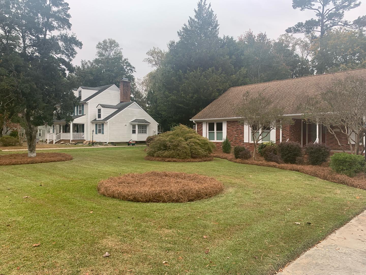 80 bales of pinestraw to end this Halloween evening off! 🎃
#wilmington #leland #castlehayne #landfall #wrightsvillebeach #downtownwilmington #portersneck #carolinabeach #ogden #monkeyjunction #rubbermulch #mulch #chocolatemulch #lawncare #lawnmaintenance #pruning #sod #ilm #portcity #landscaping #landscapes #Wilmingtonnc #commercial #residential
