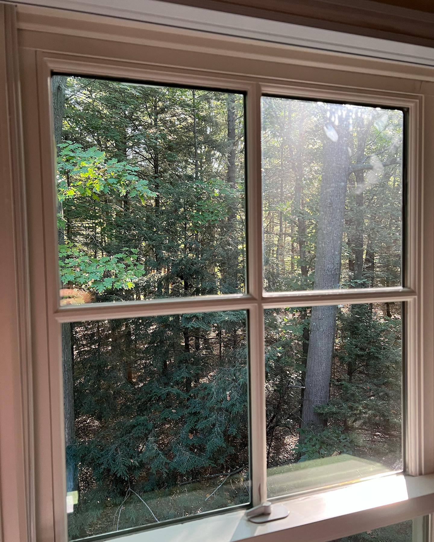 Has it been a little too long since the last time you've had your windows cleaned? We guarantee you'll be satisfied after we give them some TLC! 🪟✨
Booking for this Fall and the 2024 season!
Call/Text NOW for a FREE ESTIMATE!
📞(231) 670-2967📞
Or
Check out our website for more details and fill out a Contact Form:
www.lakesedgeexteriors.com
✅Fully Insured
✅Free Estimates
✅House Washing
✅Roof Cleaning
✅Interior/Exterior Window Cleaning
✅Pressure Washing
✅Concrete Cleaning
✅Gutter Cleaning
#windowcleaning #grandhaven #westmichigan #cleaning #pressurewashing #windowcleaner #clean #cleaningservice #guttercleaning #smallbusiness #localbusiness