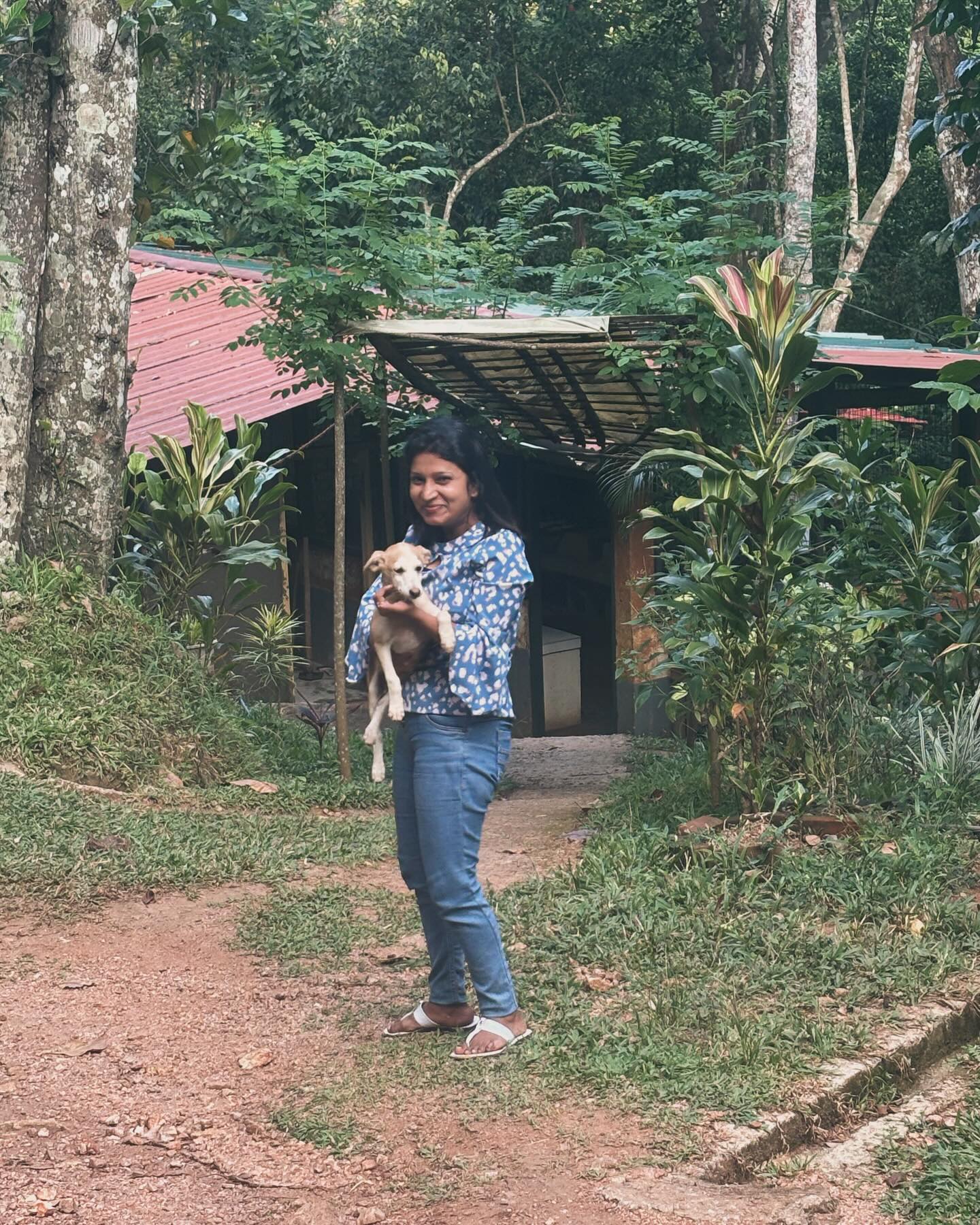 Chanduni is the person you are mostly emailing when you contact us! Here she is with Peanut, one of @polwaththa_ecolodges puppies!
#meet #hello #womeninbusiness #puppy #puppylove
