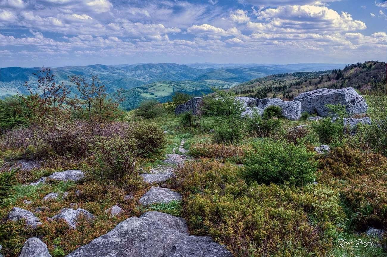 📍 Spruce Knob Rock Garden
📷 Rick Burgess