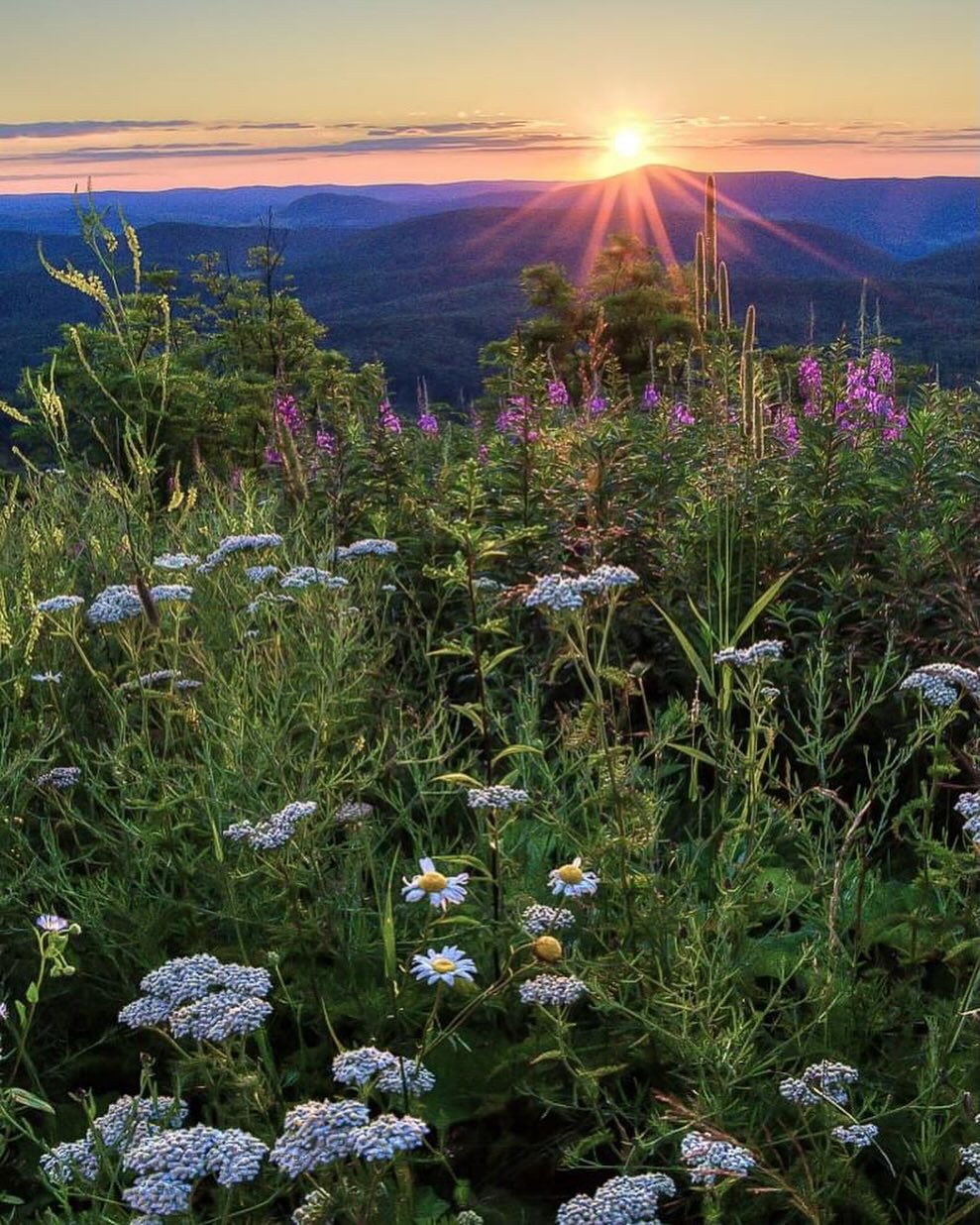 “beauty is a light in the heart.” - Kahlil Gibran
📍Spruce Knob, WV
📷 Rick Burgess