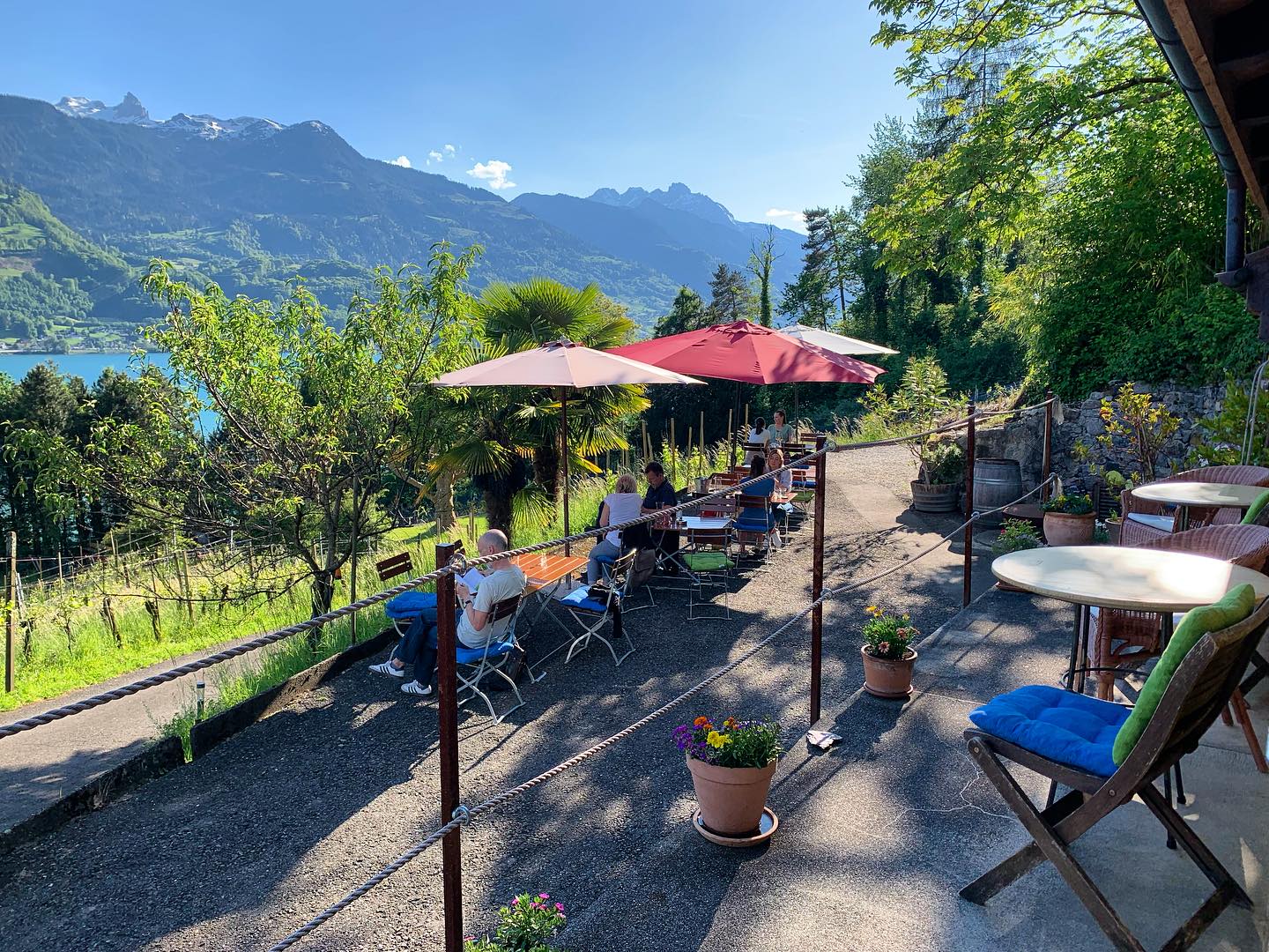 Sommerzeit- Kalifornizeit!
Morgen 10. August ab 16h bis 22h ist das Grotto Kaliforni geöffnet. Feine Tapas, feines vom Grill und top CasaNova Wein Pur Weine erwarten euch.
Zudem ist am Freitag 16. August das nächste Music & Wine im Kaliforni Griechischer Abend angesagt mit Kafenion. Ferienstimmung am Walensee 💃🕺🏻🥂🏖️! Ab 18h30 Tapas & Weinbuffet, ab 19h30 Konzert. Eintritt Konzert CHF 25.00. Reservieren empfohlen.
Herzliche Grüsse vom Kaliforni
Marco Casanova
#grotto#kaliforni#open#finewine#tapas#music#grill#tanzen#lebensfreude#ferienstimmung#walensee#bio#casanova#weinpur#willkommen