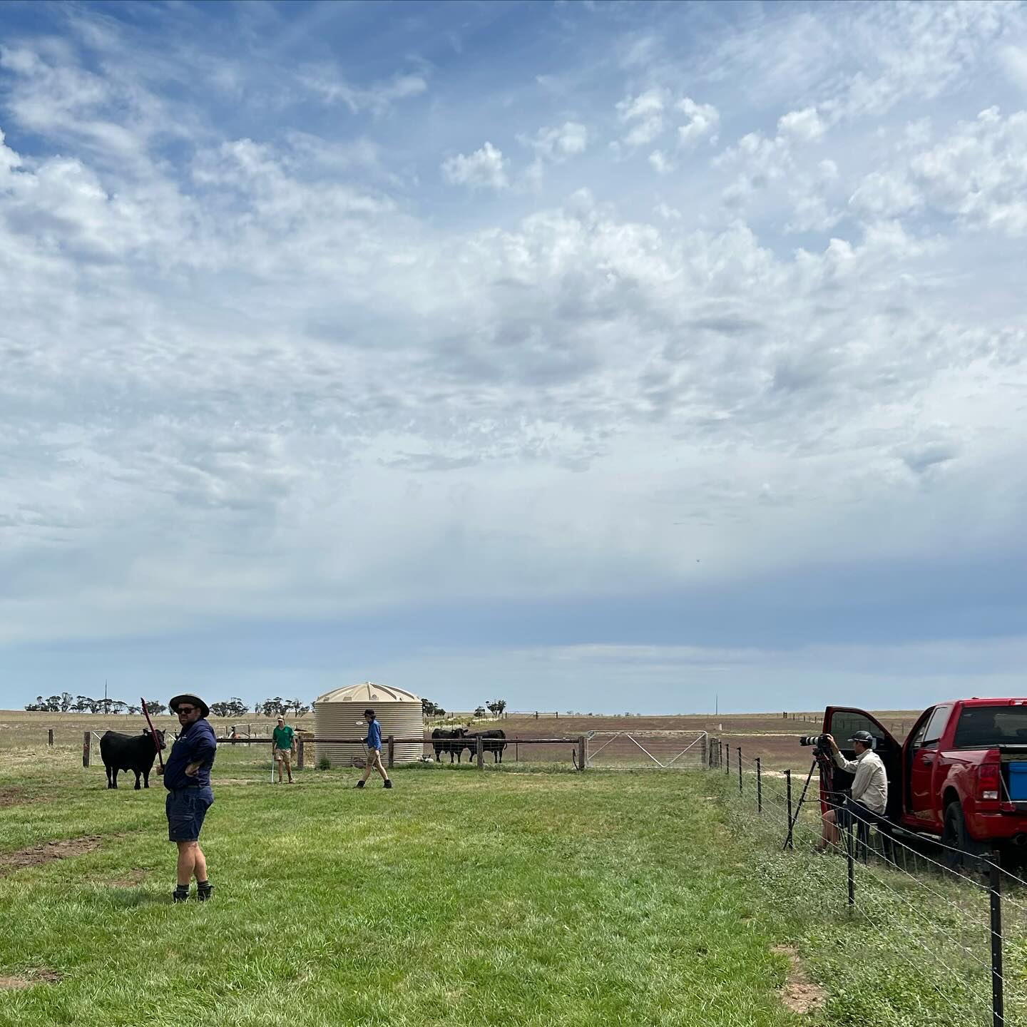 Perfect day for videoing the sale bulls.
Big thanks to Brandon @bjslivestockphotography for coming over to capture the bulls. Keep an eye out for the videos!
#salepreparation #bullsale #bulloakwellangus #changeofsaleday #monday12thfeb24 #angus