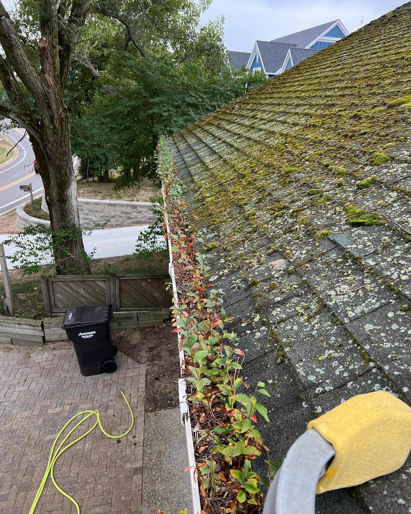 It's that time of year again! Get those gutters cleaned and downspouts flowing before things start to freeze here in West Michigan! 🥶
We can also take care of those dirty roofs for you 😉
Call/Text NOW for a FREE ESTIMATE!
📞(231) 670-2967📞
Or
Check out our website for more details and fill out a Contact Form:
www.lakesedgeexteriors.com
✅Fully Insured
✅Free Estimates
✅House Washing
✅Roof Cleaning
✅Interior/Exterior Window Cleaning
✅Pressure Washing
✅Concrete Cleaning
✅Gutter Cleaning
#guttercleaning #housewashing #softwashing #softwash #pressurewashing #grandhaven #springlake #holland #westmichigan #supportlocalbusinesses #windowcleaning #cleaning #windowcleaner #clean #cleaningservice #smallbusiness