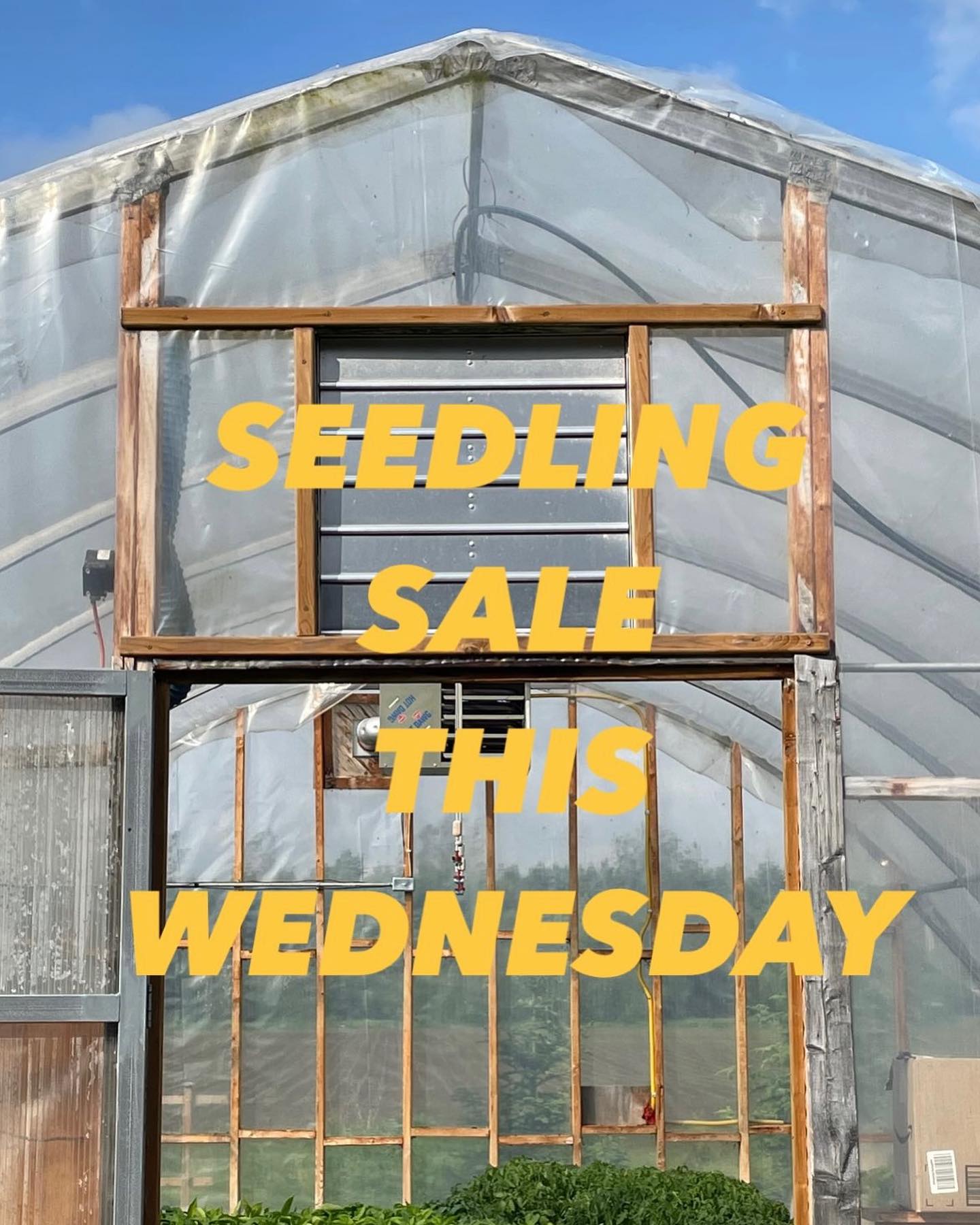 Come visit us at the farm this Wednesday from 3-6pm for our first farm stand and seedling sale. You can preorder via our online farm stand (link in bio) or you can just show up!
We will have a selection of spring veggies, pasture raised eggs, herbs and seedlings.
See you at the farm!
