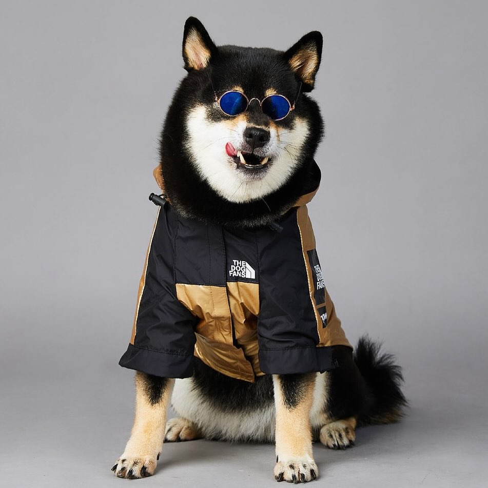 ❄️ -20% avec le code WINTER