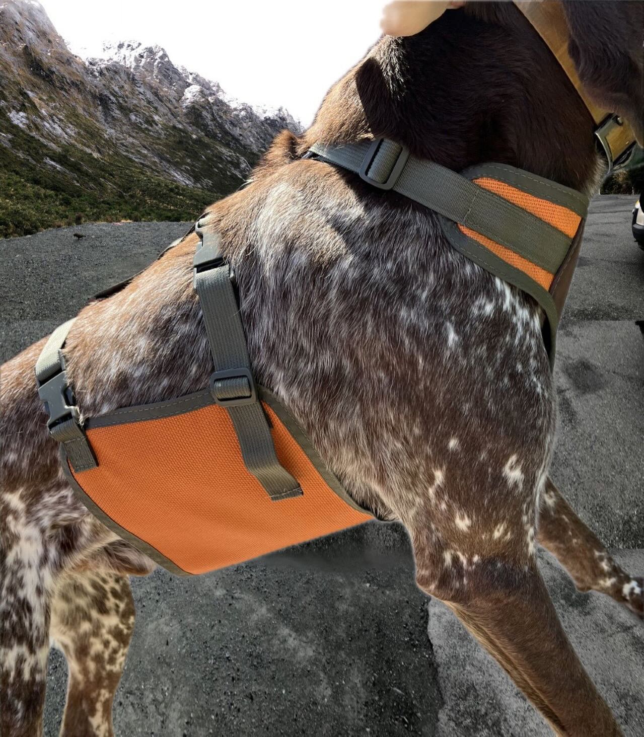 All sizes of the FA Skid Plate are available now! Go get yours for chest and belly protection during summer training! #upland #gundog #trainingseason #hunt #gsp