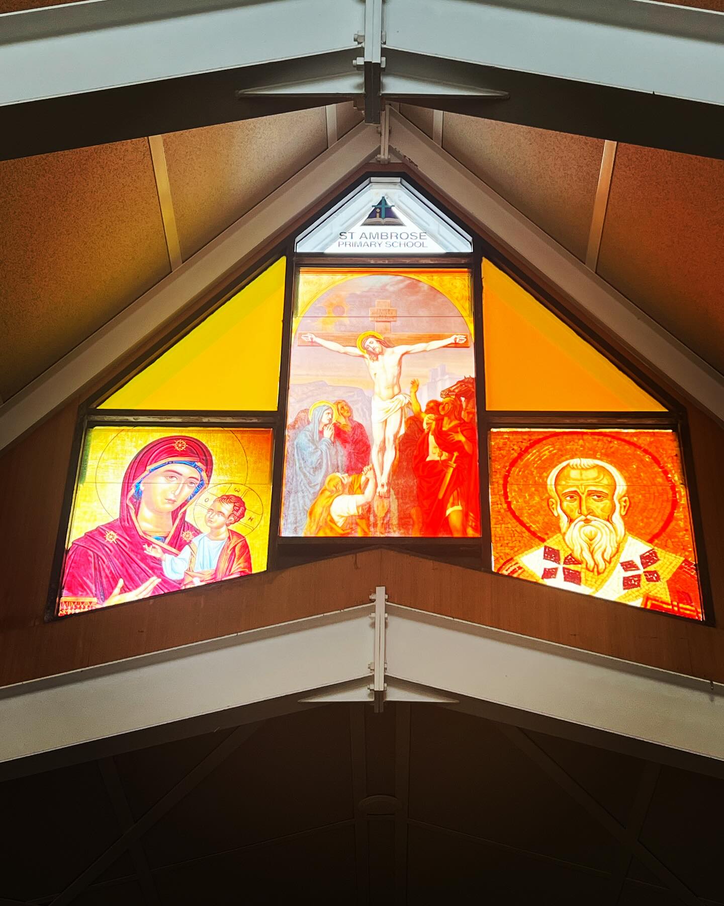 We completed a special installation for the kids of ST Ambrose School in Pottsville this week 🙌