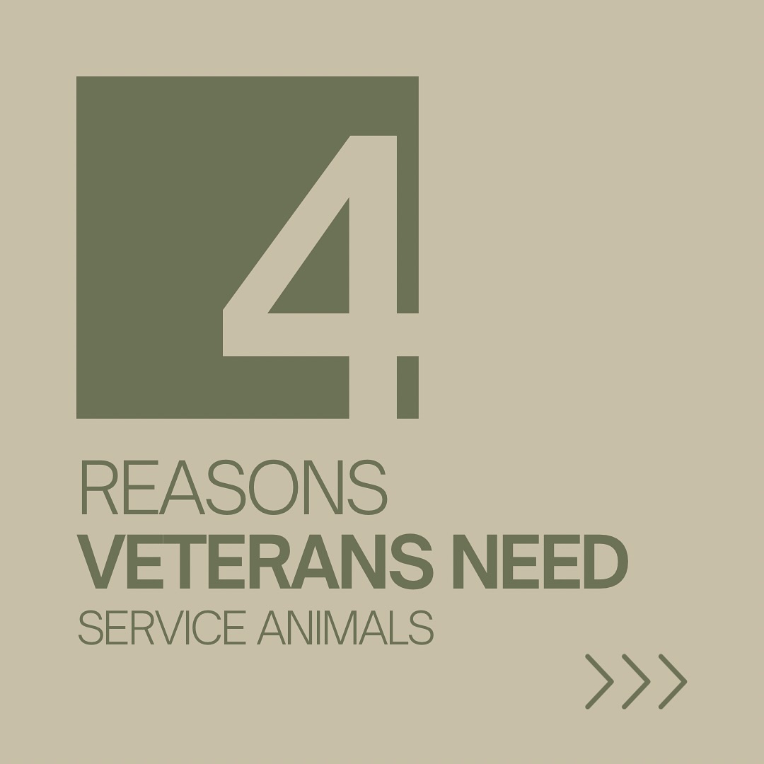 Never underestimate the healing powers of animals.
The unconditional love provided from service animals holds the largest remedy to healing even some of the most broken.
boost this post to spread awareness by commenting your pet’s name and breed 🐾 (doesn’t have to be a K9)
#supportthetroops #k9 #veternanowned # veteran #serviceanimal #suicideawareness #nonprofit #charity #servicedog #usa #patriot #757 #Chesapeake #virginiabusiness #virginiaevents #suicideprevention #Belgianmalinois #therapydog #dutchshepard #mentalhealth #mentalhealthawareness