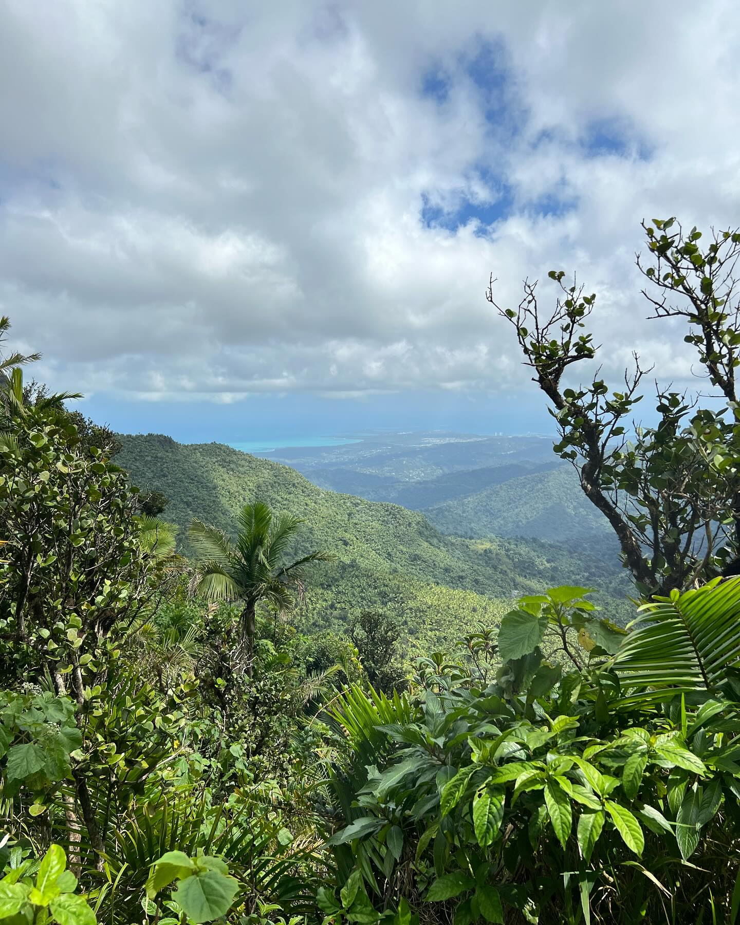 El mar tiene mi corazón pero las montañas tiene mi alma