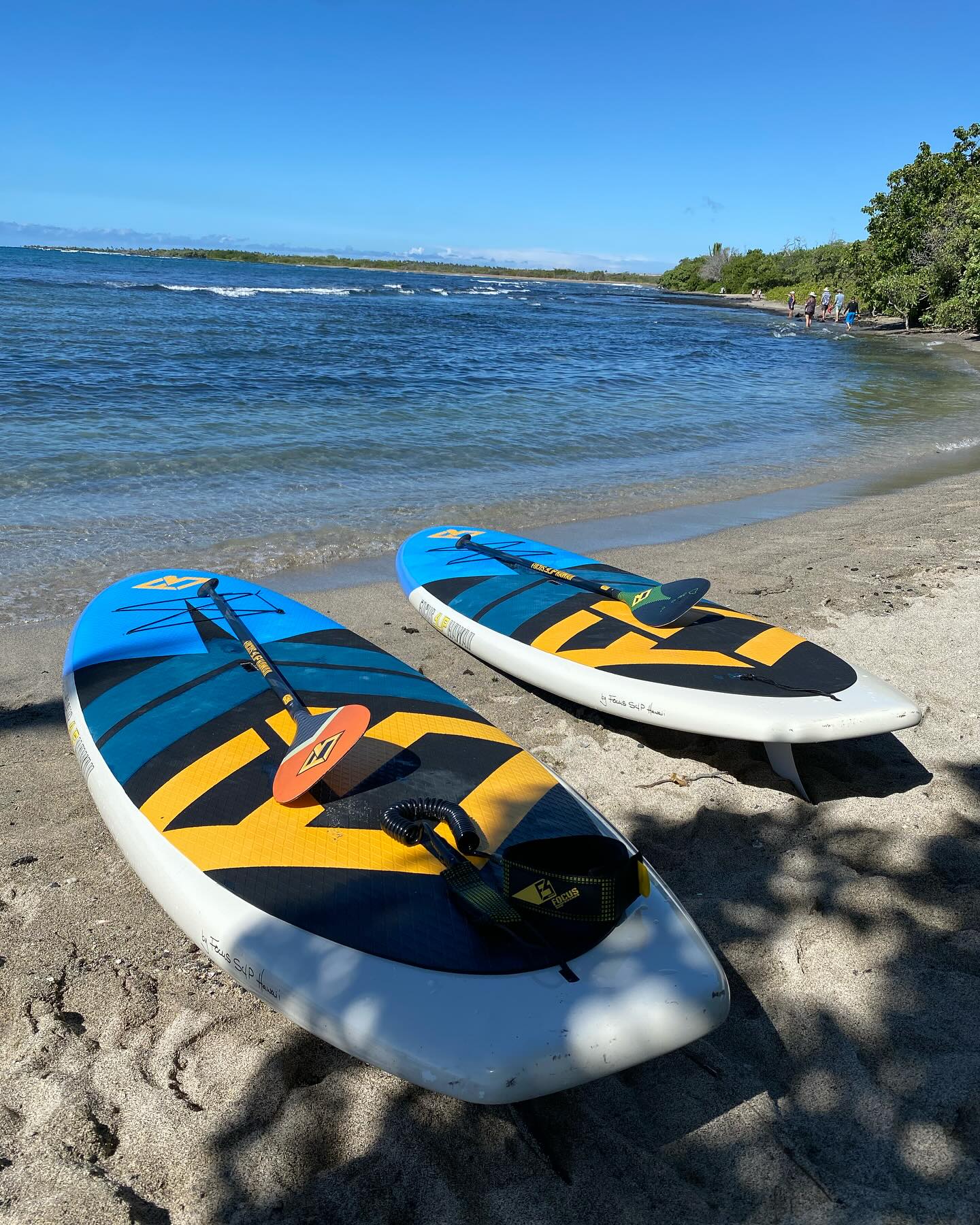 We caught the waves on a high surf. Rough water does not stop an R-type for sure 😎. This is officially first hand experience. 🤣 These boards are solid and safe out there. Taking a break @turtlebeach
#namastesup #suptraveler #hokuliarealestate #paddleboarding #suphawaii #paddlesports #paddleboardinglife #paddlesurf #standuppaddle
#focus’s up #focussuphawaii #focussupboards
#focusyogasup #namastesup
#focussup
#focusoutdoorbrands