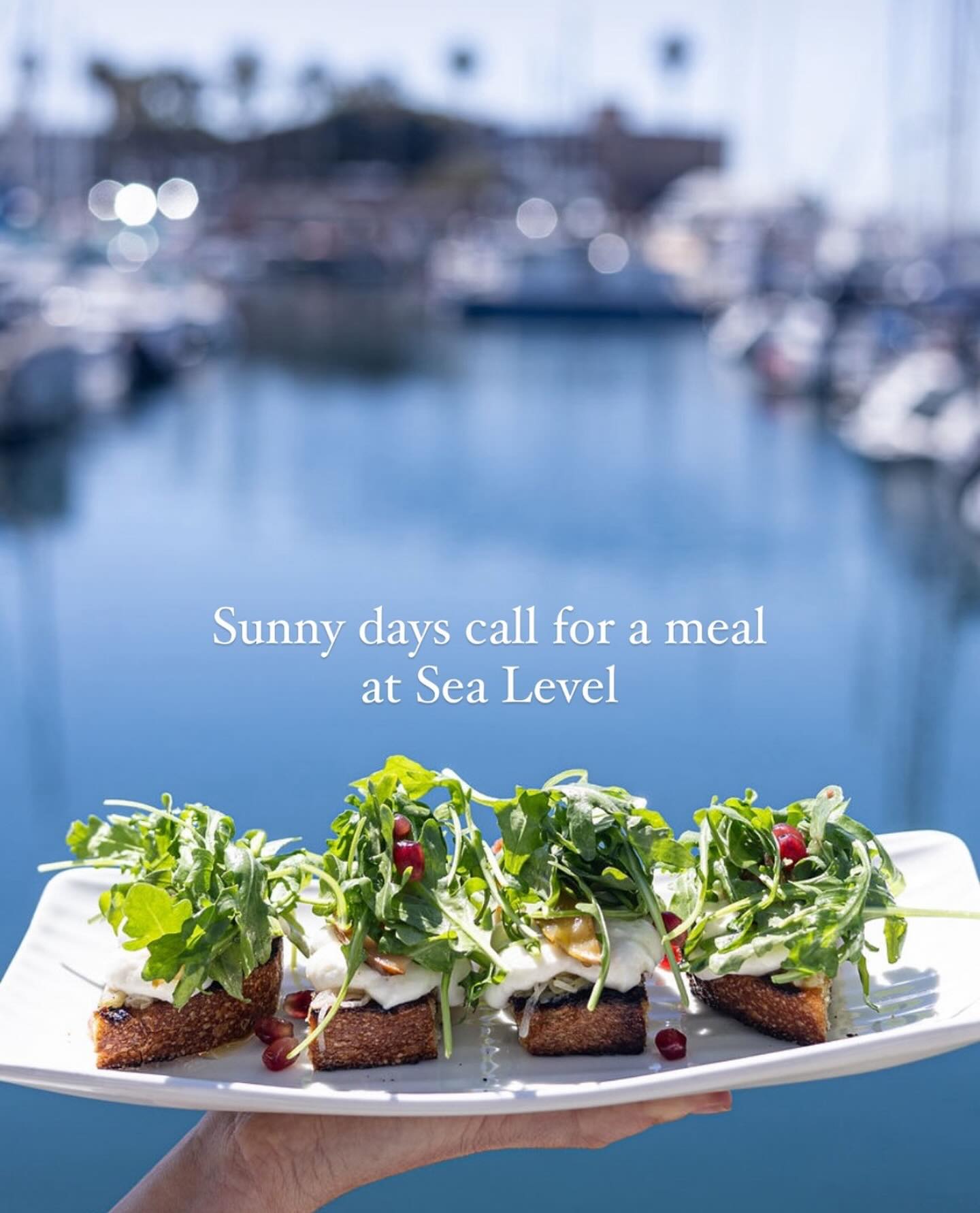 You ever tried @sealevelrb? Highly recommend happy hour ๐ #kingharbor